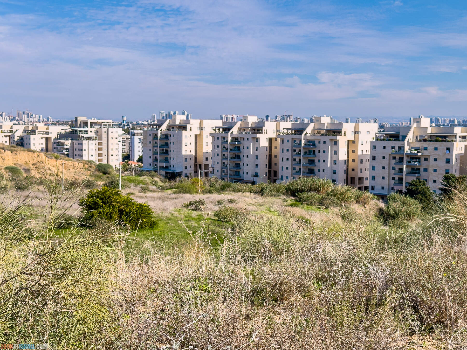 Прогулки с собакой в Израиле - холмы Нес Циона