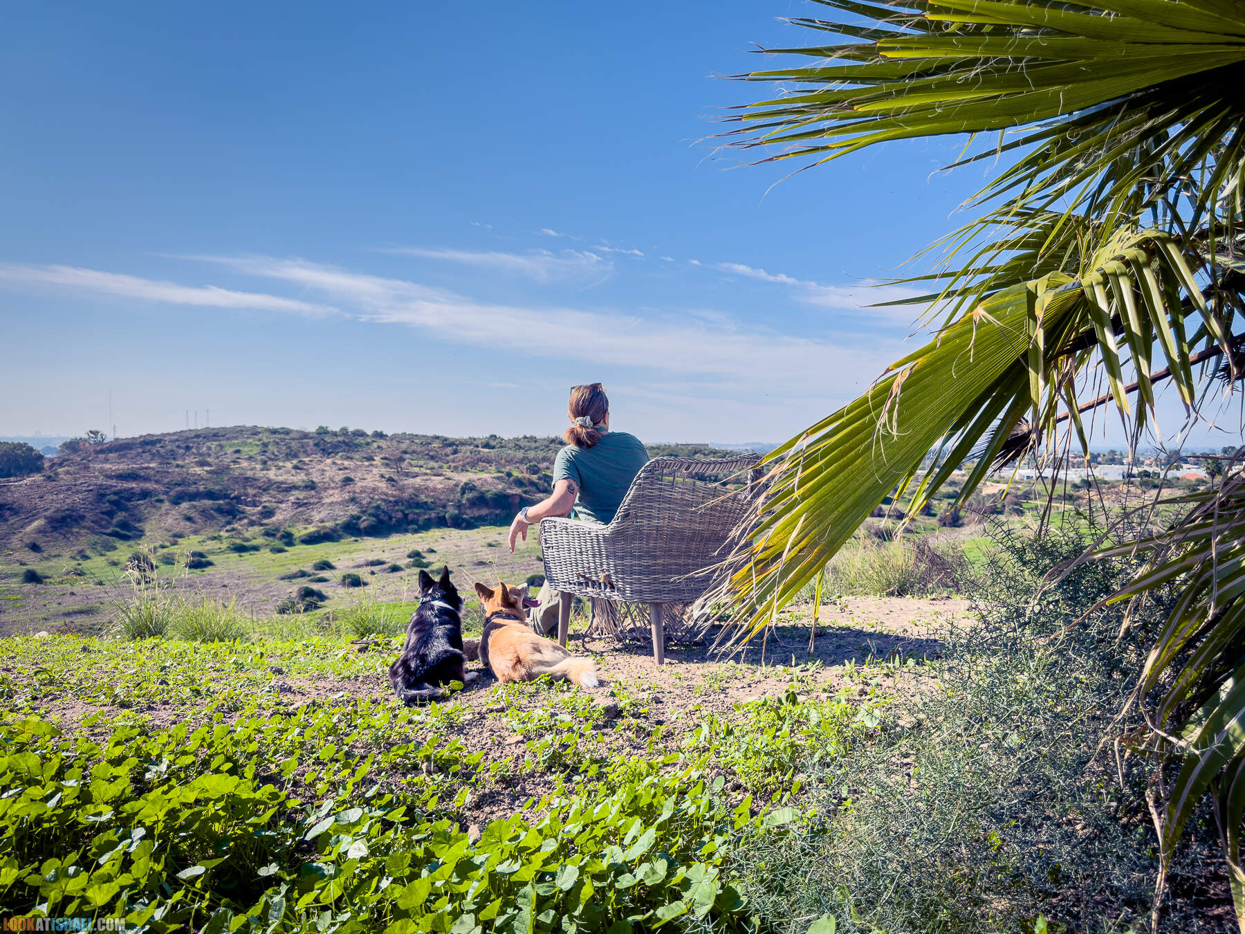Прогулки с собакой в Израиле - холмы Нес Циона