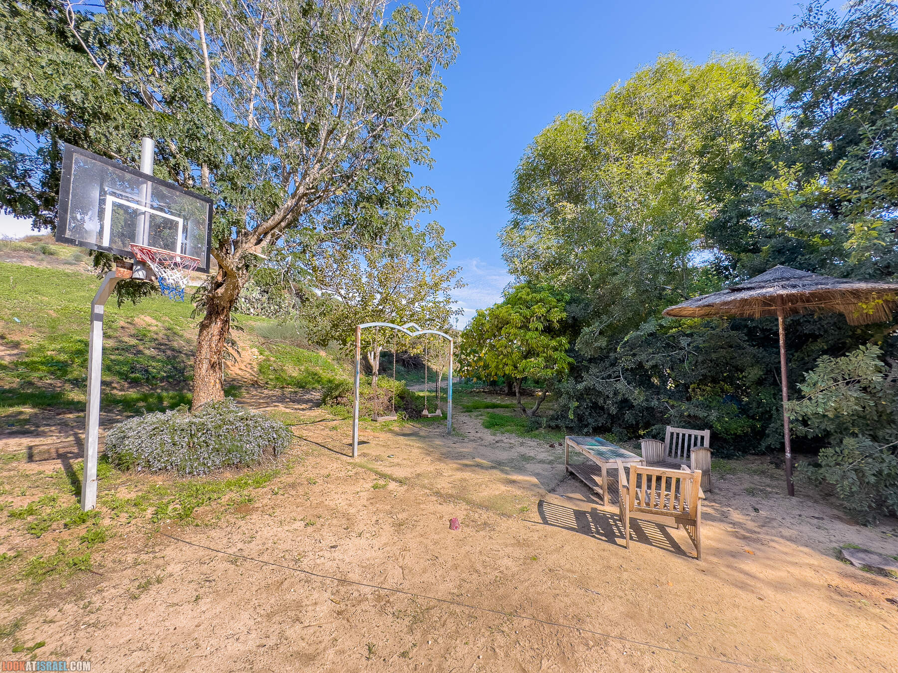 Прогулки с собакой в Израиле - холмы Нес Циона