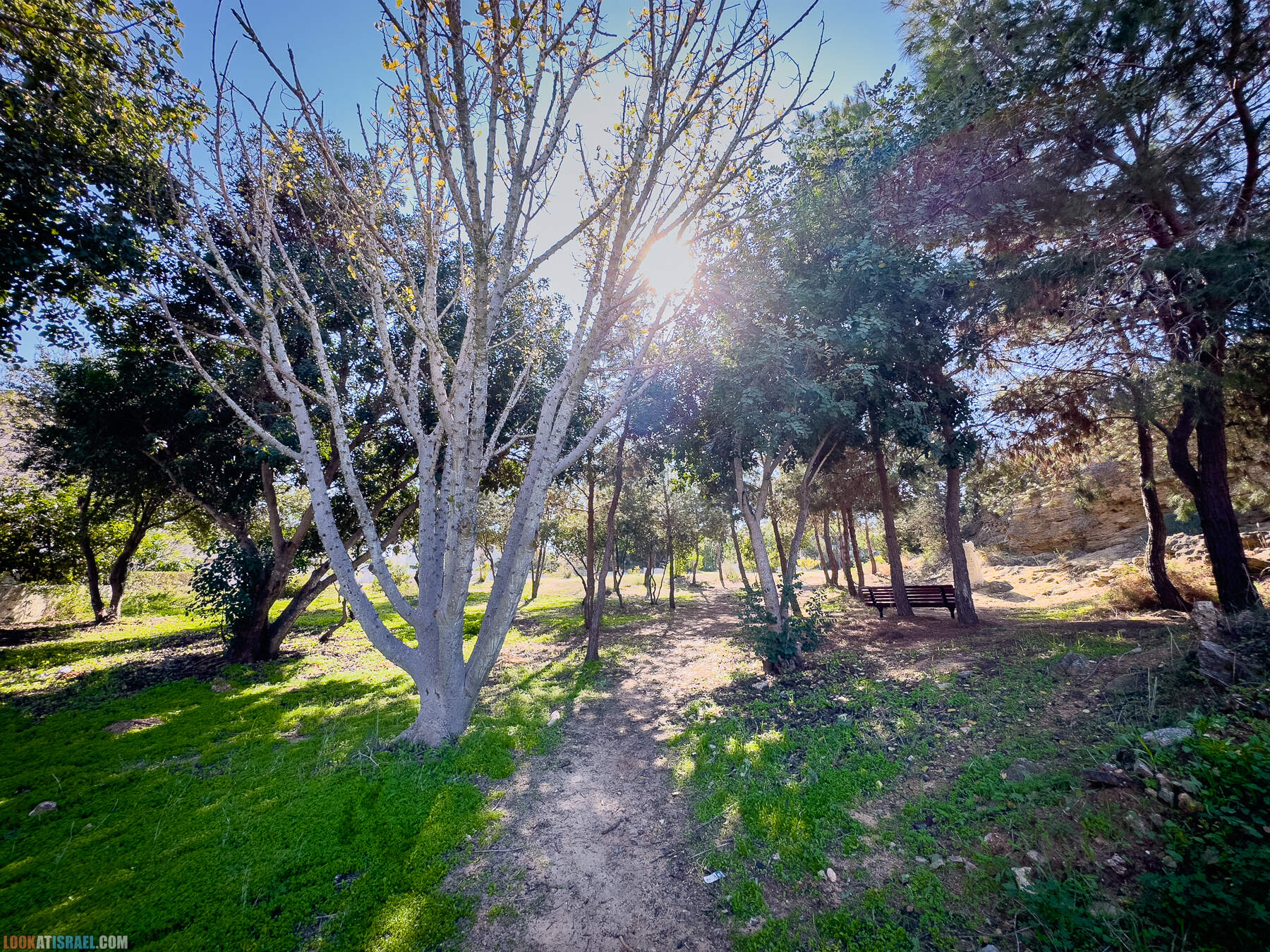 Прогулки с собакой в Израиле - холмы Нес Циона