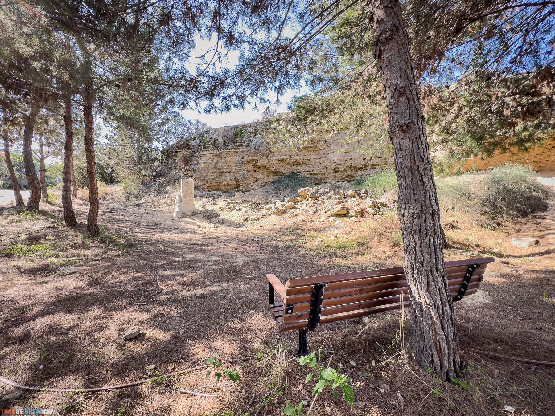 Прогулки с собакой в Израиле - холмы Нес Циона