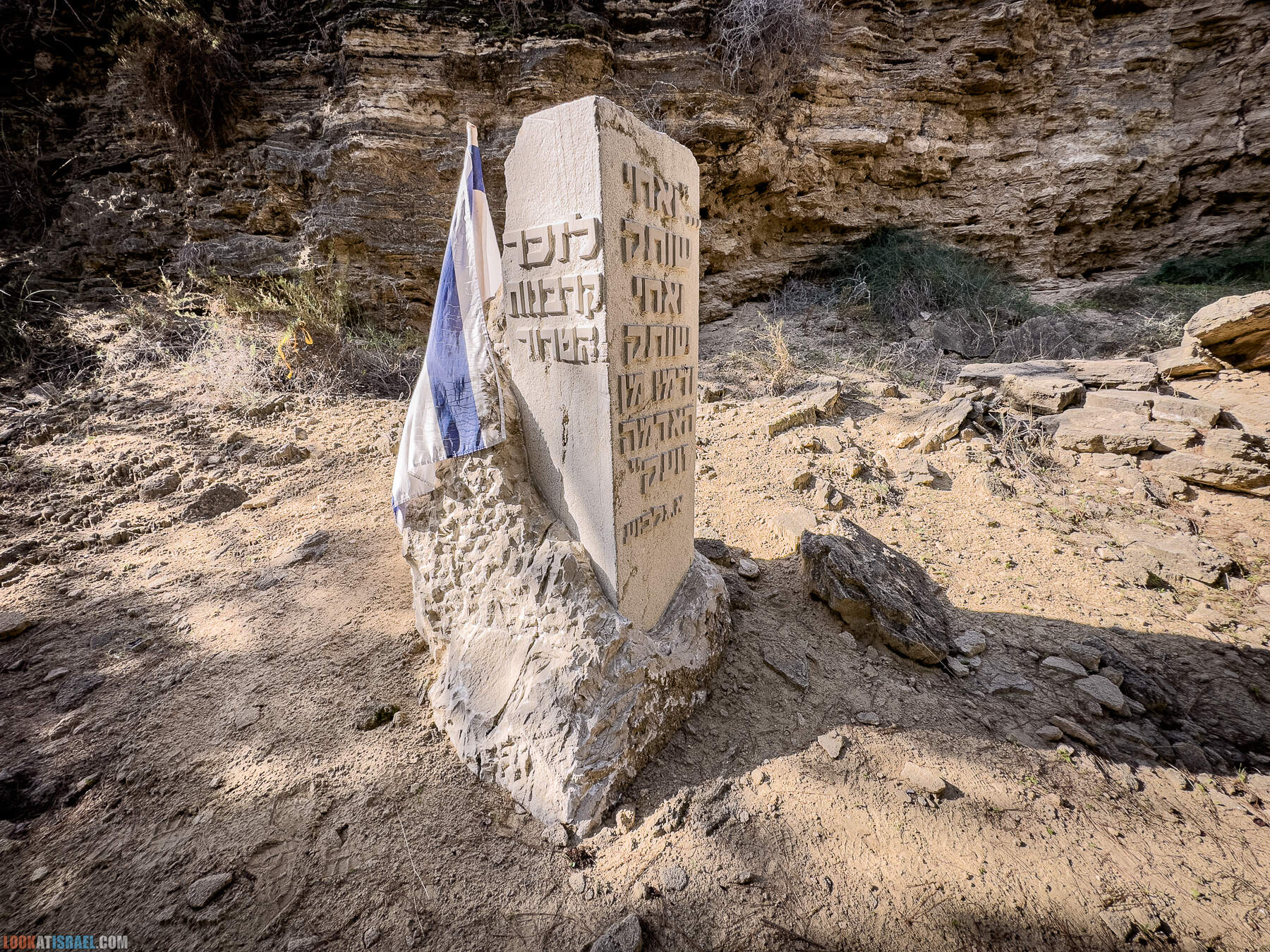 Прогулки с собакой в Израиле - холмы Нес Циона