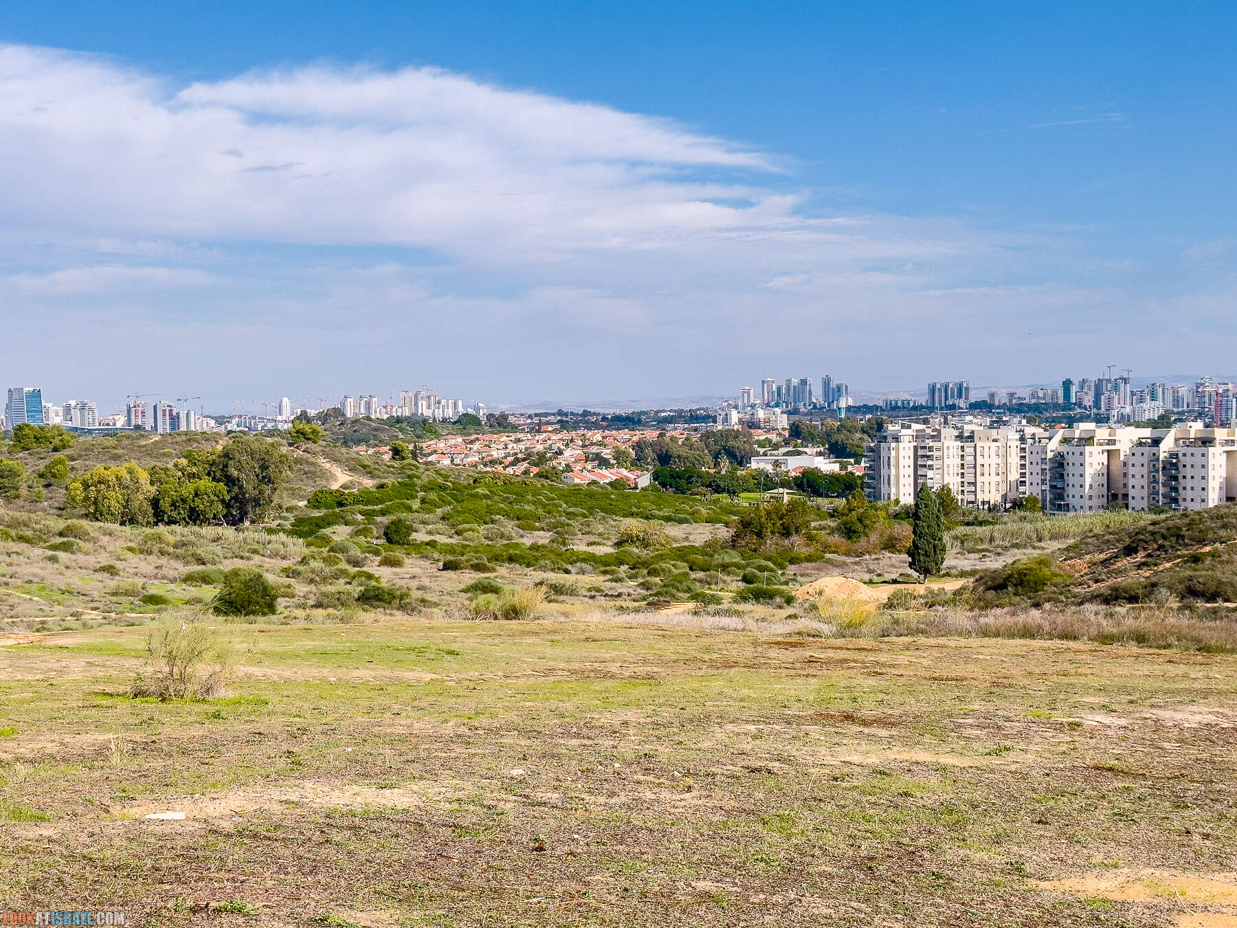 Прогулки с собакой в Израиле - холмы Нес Циона