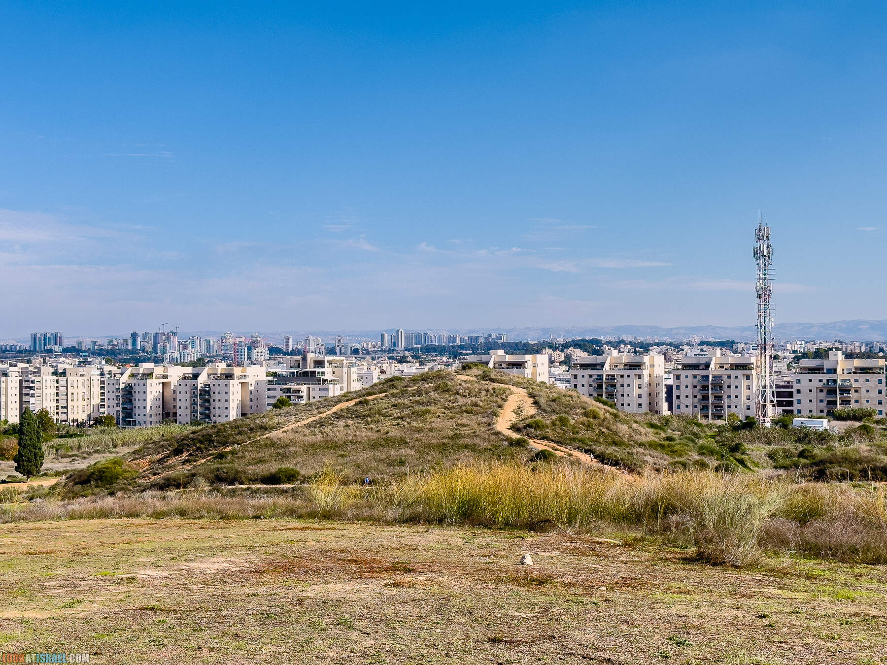 Прогулки с собакой в Израиле - холмы Нес Циона