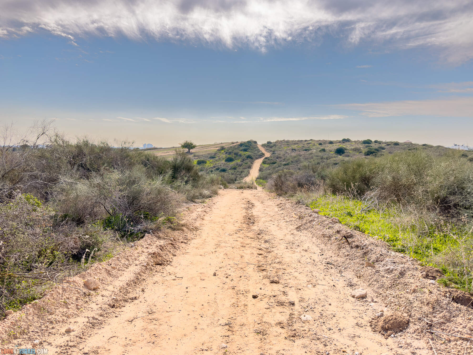 Прогулки с собакой в Израиле - холмы Нес Циона