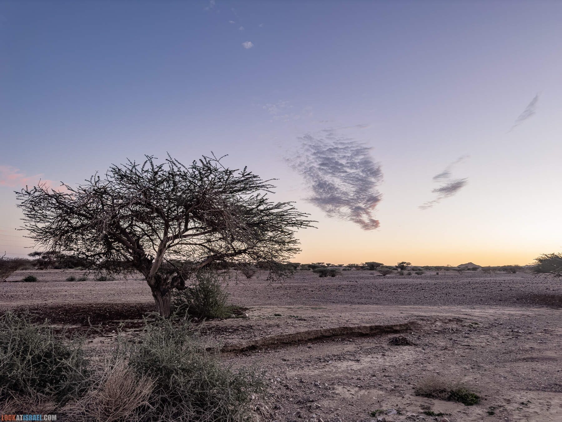 Тропа гномов в поселке Неот ха-Кикар