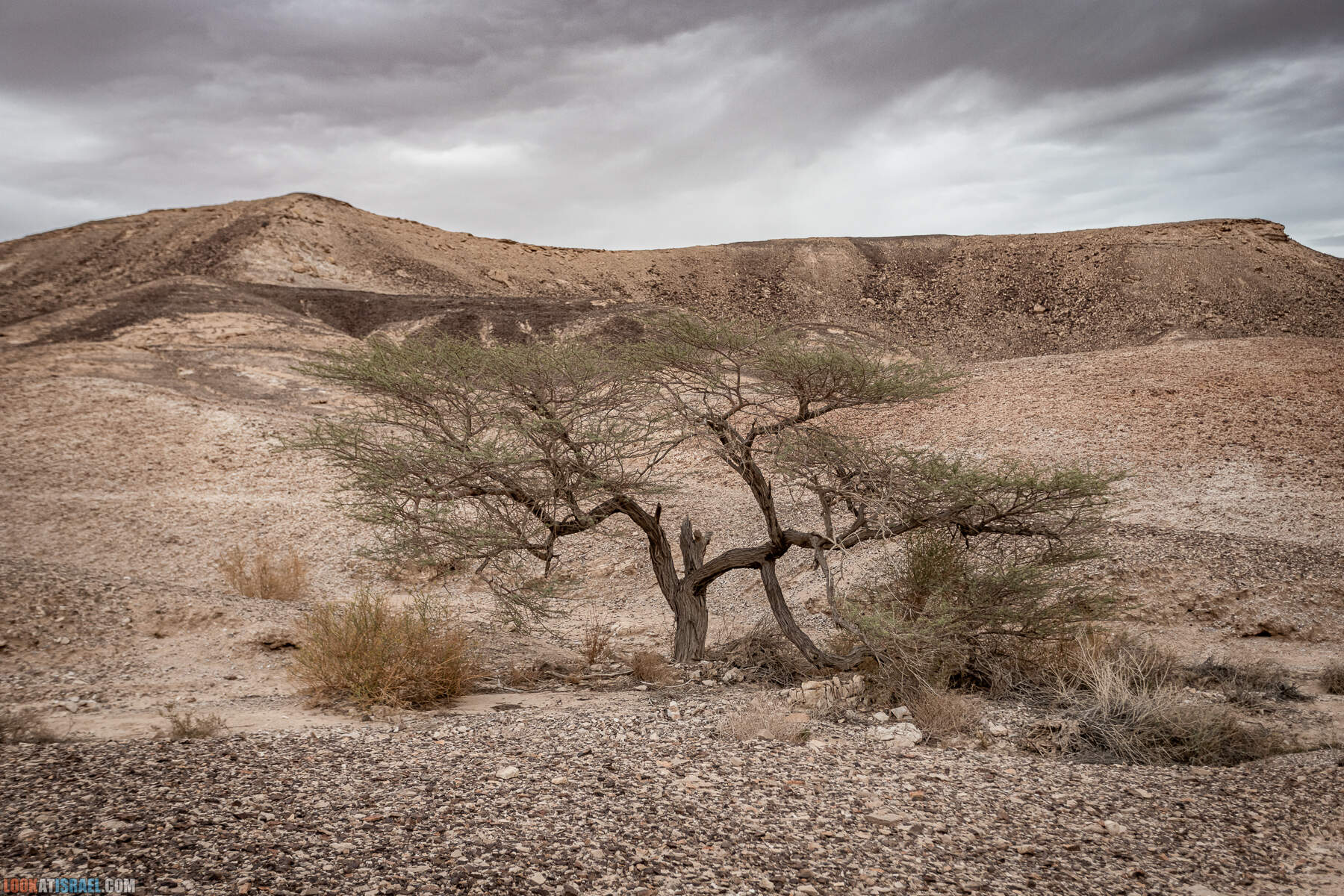 Поход к Малому махтешу по руслам ручьев Хацера, Цнин и Цин