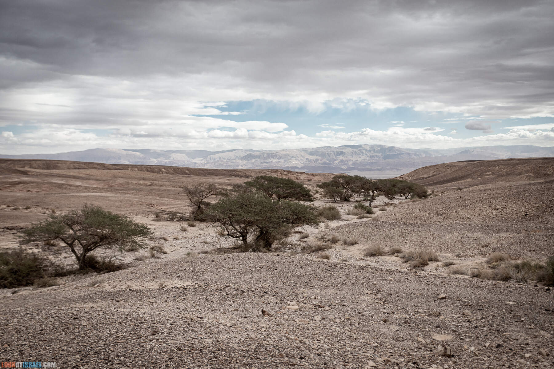 Поход к Малому махтешу по руслам ручьев Хацера, Цнин и Цин