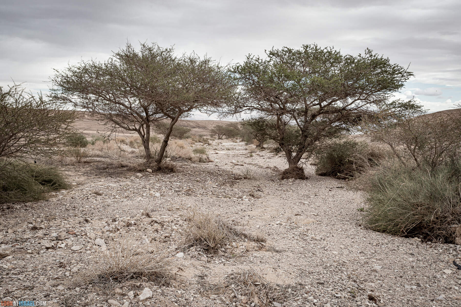 Поход к Малому махтешу по руслам ручьев Хацера, Цнин и Цин