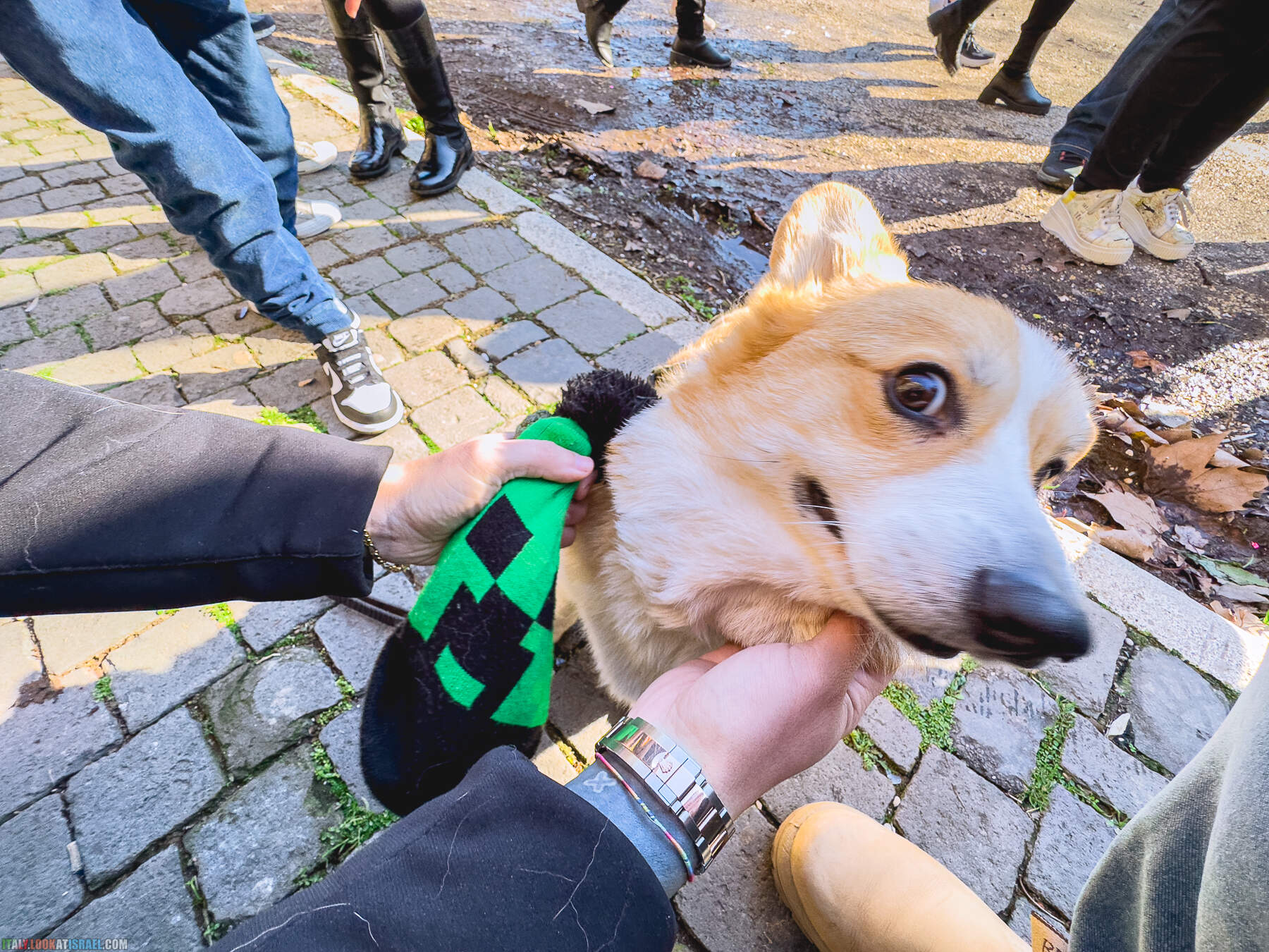 Зимняя прогулка по Риму