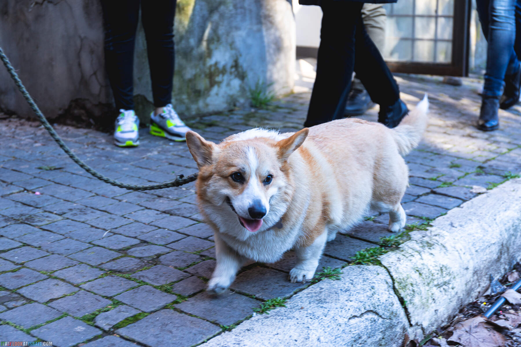 Зимняя прогулка по Риму