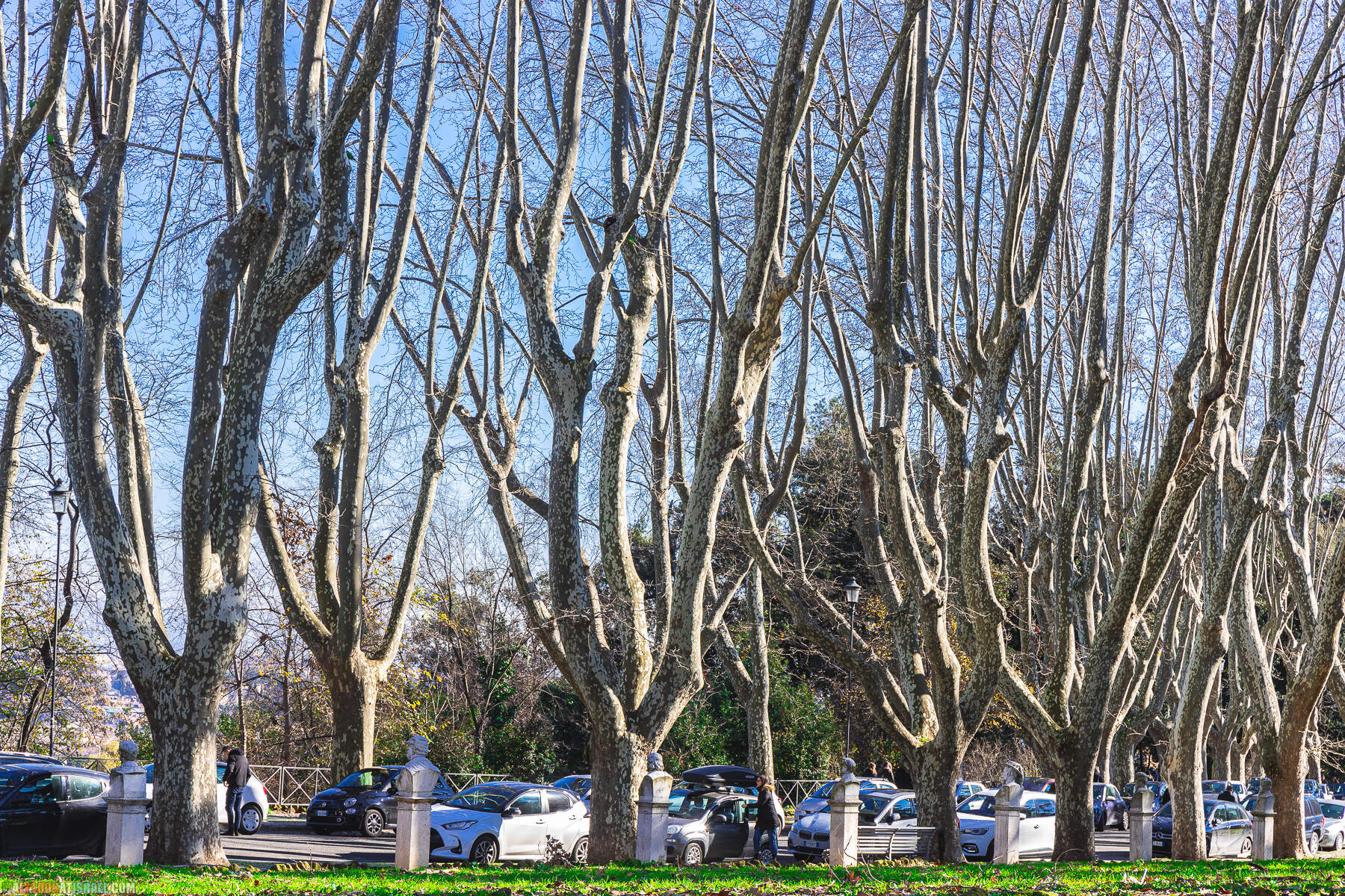 Зимняя прогулка по Риму