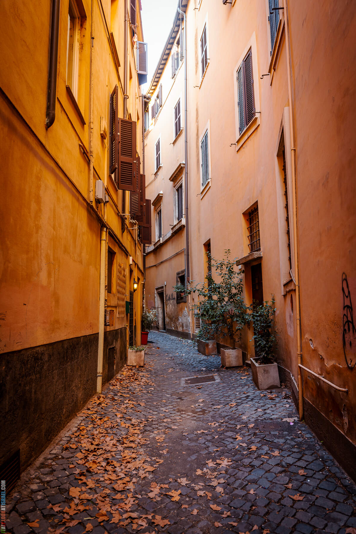 Зимняя прогулка по Риму