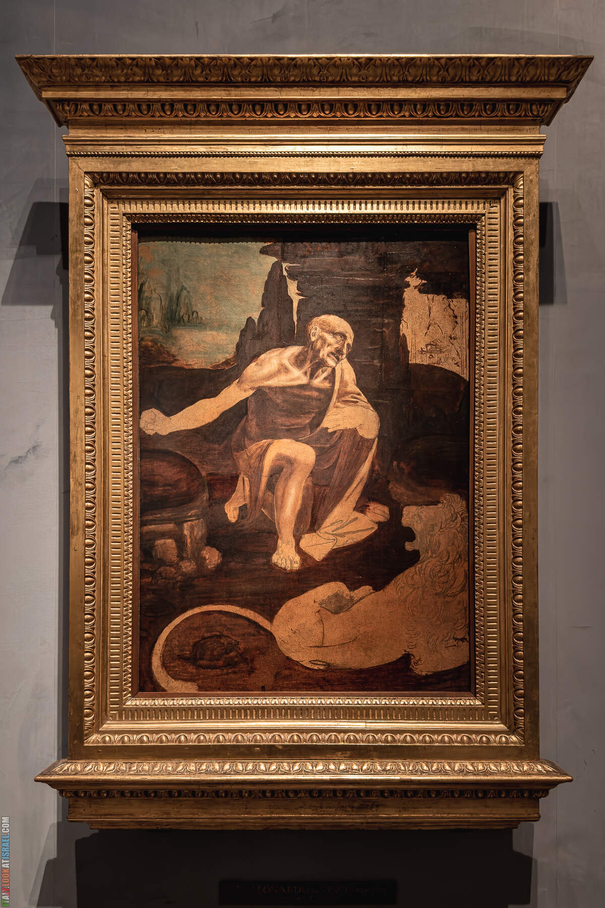 Музеи Ватикана, собор святого Петра и весь Рим с купола