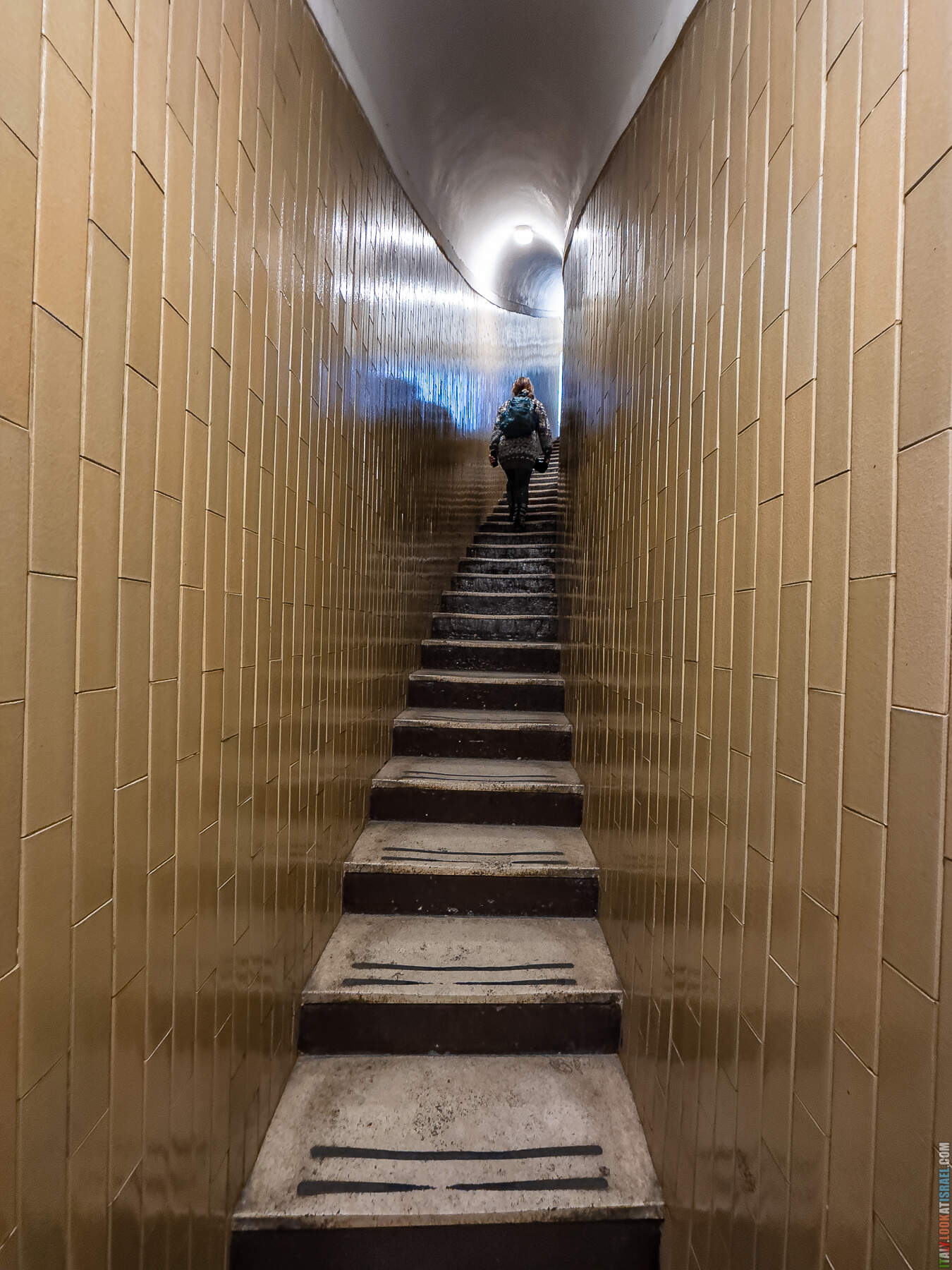 Музеи Ватикана, собор святого Петра и весь Рим с купола