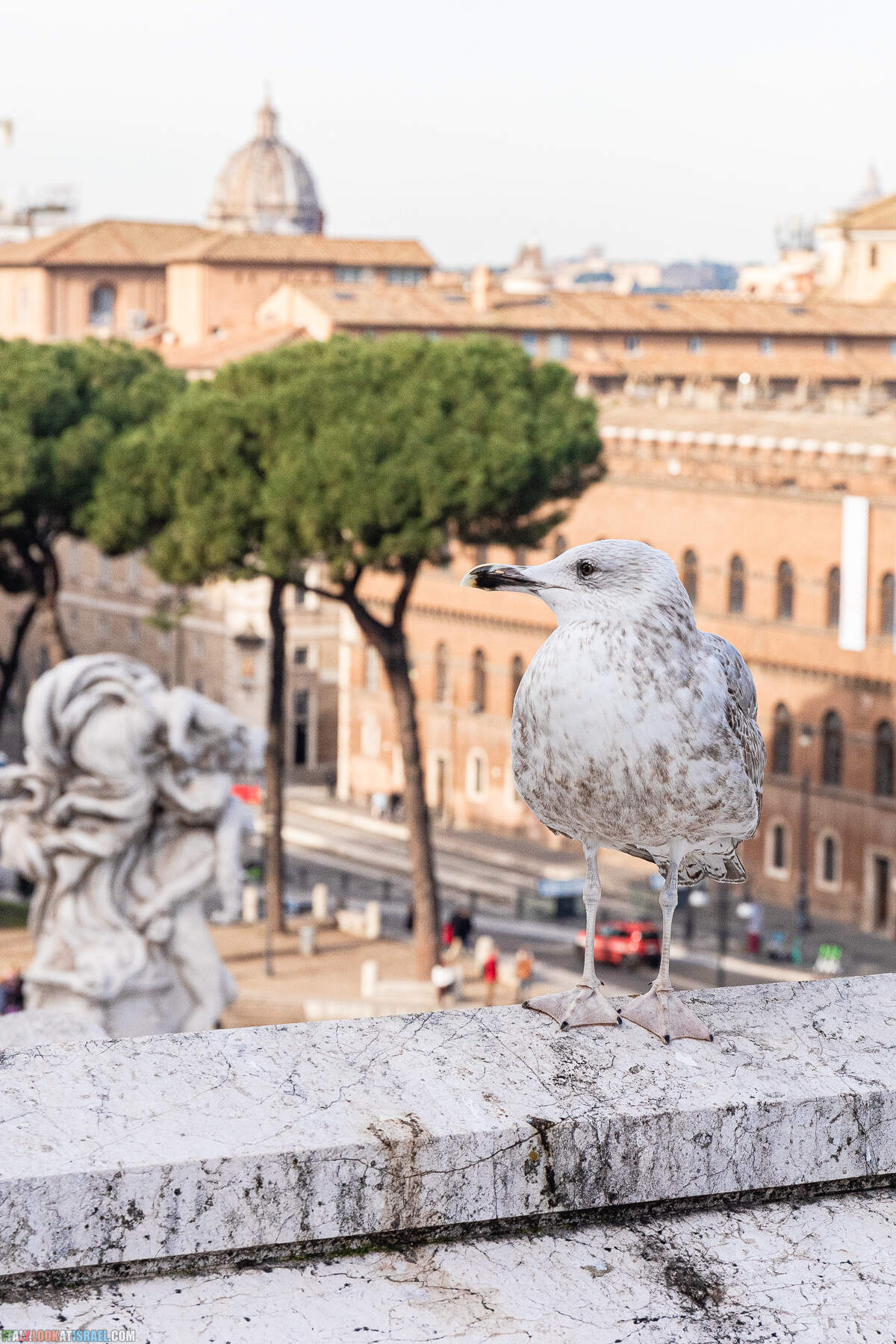 Зимний Рим - Колизей и римский форум