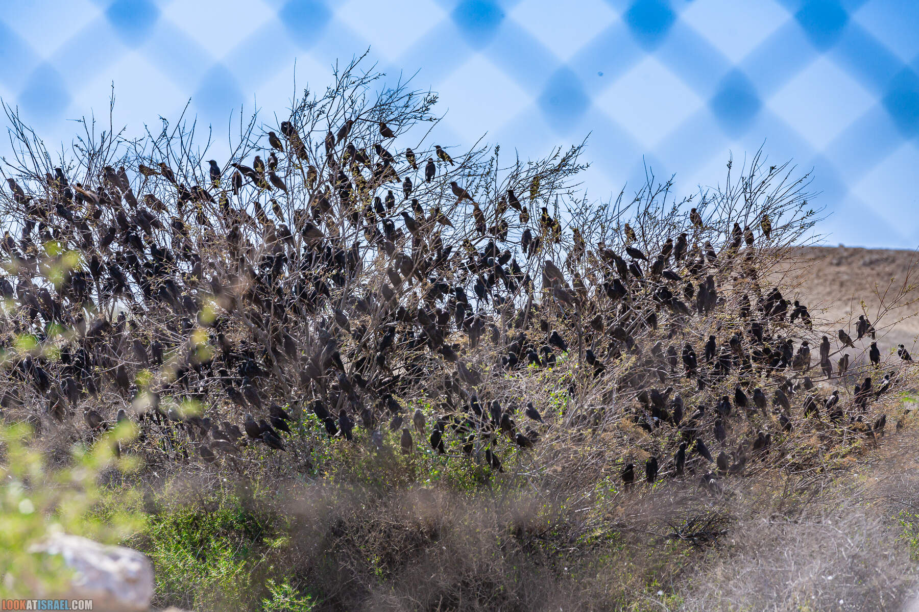 Поездка в закрытую военную зону на границе с Иорданией, водохранилище Тирца и Тамар