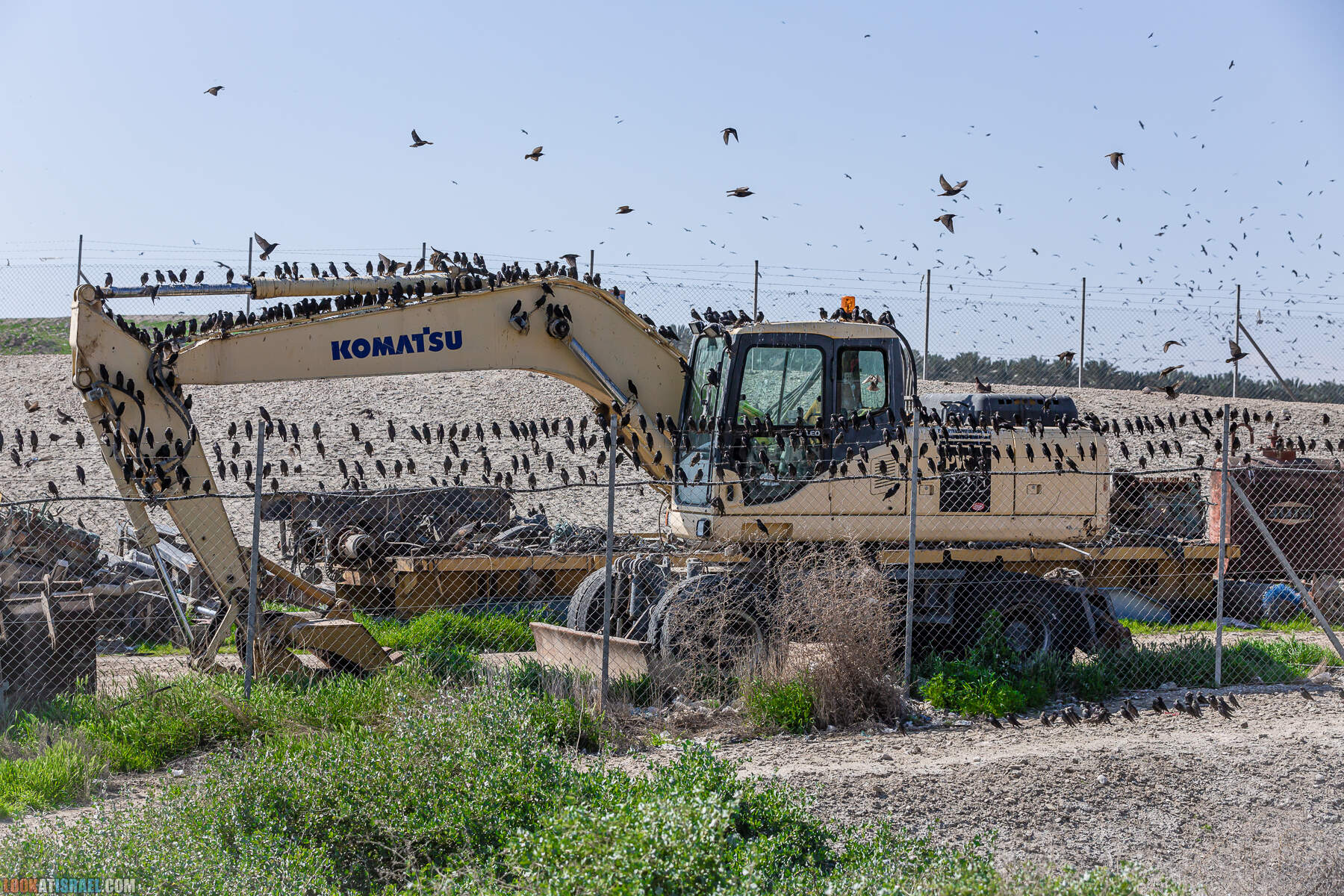 Поездка в закрытую военную зону на границе с Иорданией, водохранилище Тирца и Тамар
