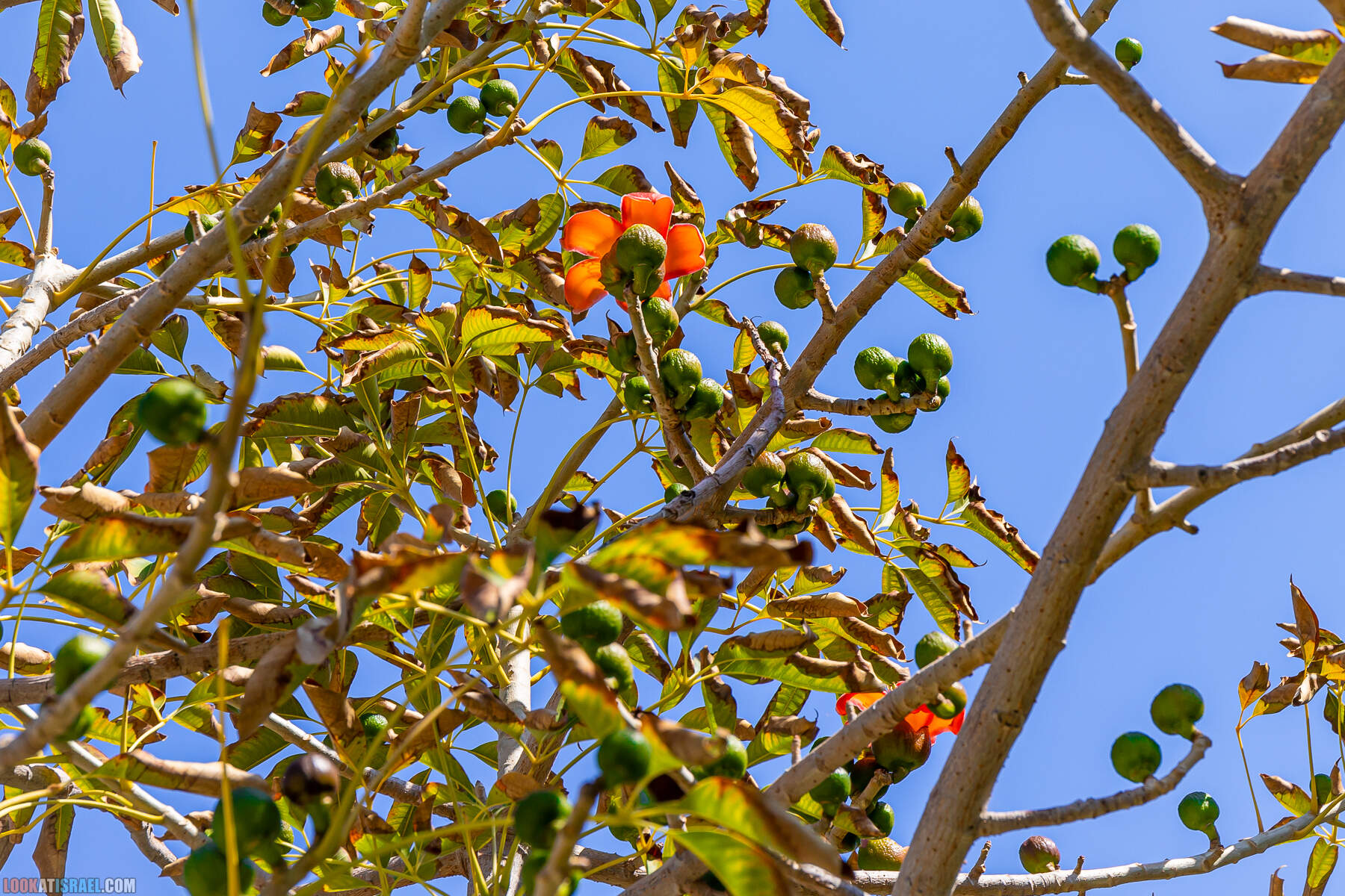 Поездка в закрытую военную зону на границе с Иорданией, водохранилище Тирца и Тамар