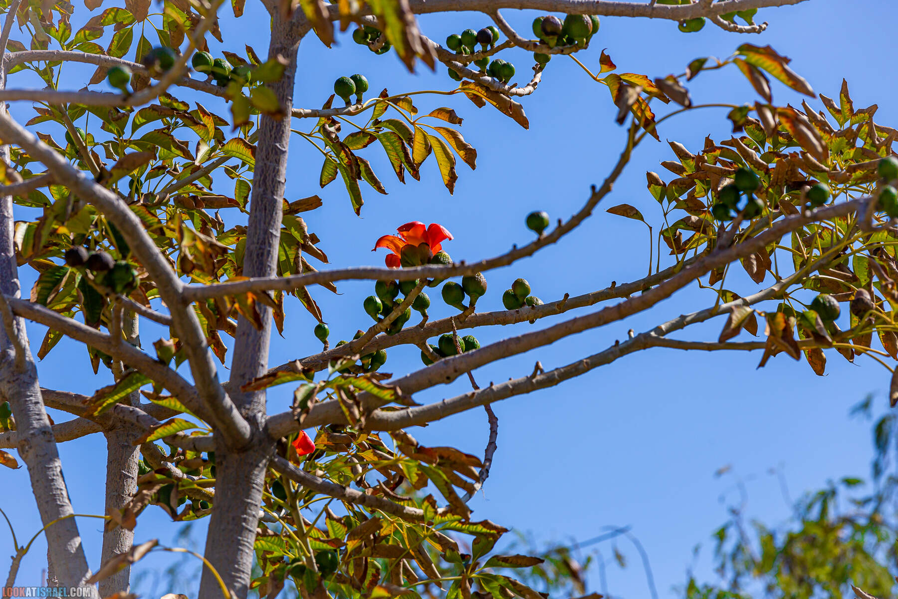 Поездка в закрытую военную зону на границе с Иорданией, водохранилище Тирца и Тамар