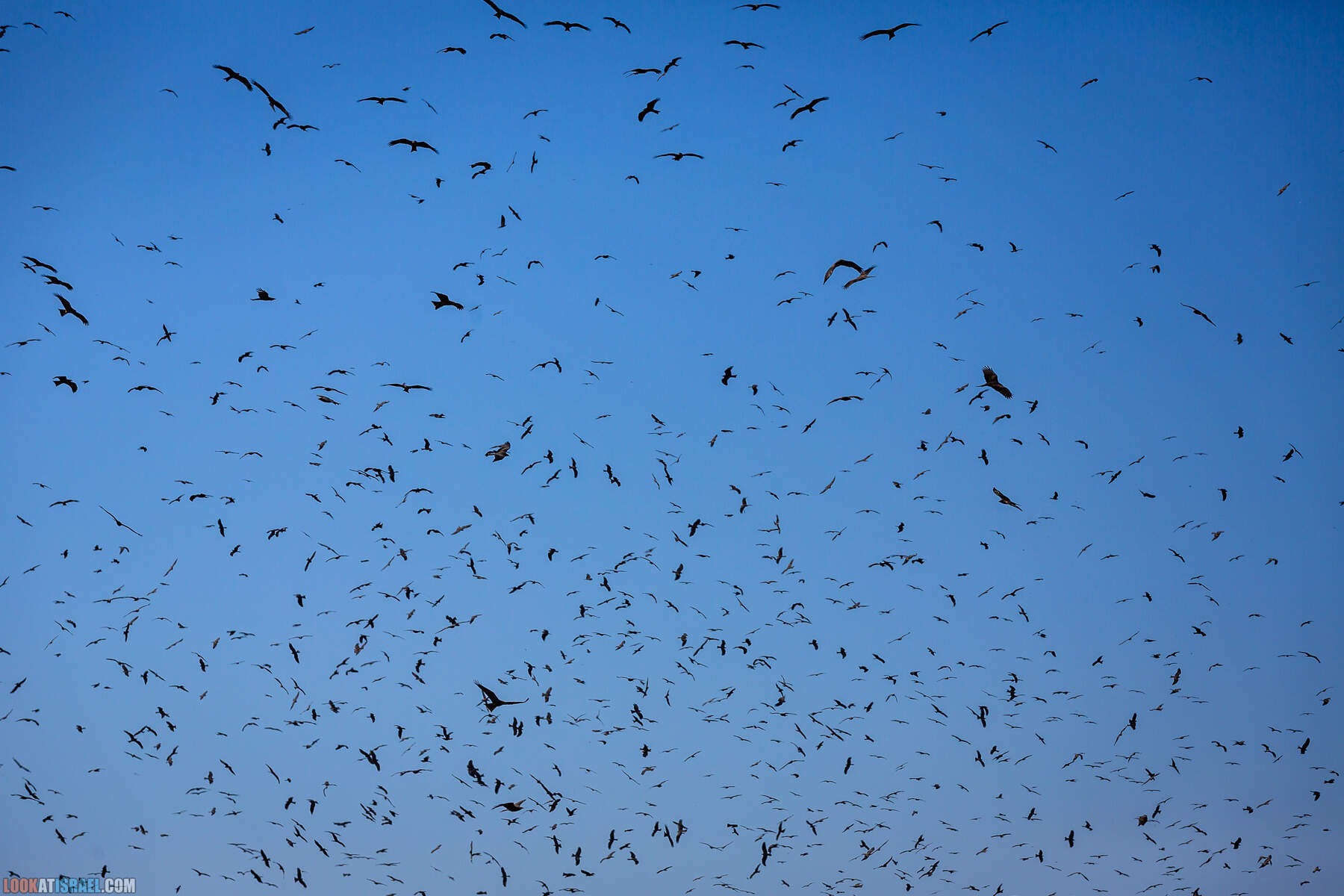 Поездка в закрытую военную зону на границе с Иорданией, водохранилище Тирца и Тамар