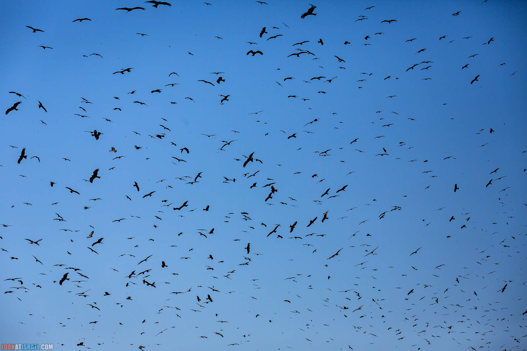 Поездка в закрытую военную зону на границе с Иорданией, водохранилище Тирца и Тамар