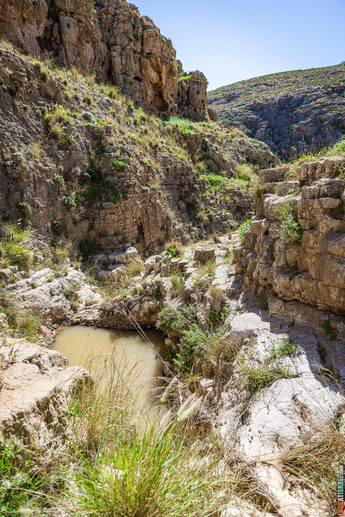 Ущелье гевим Джуфа в Иорданской долине - נחל הגבים ואדי ג׳ופה בבקעת הירדן