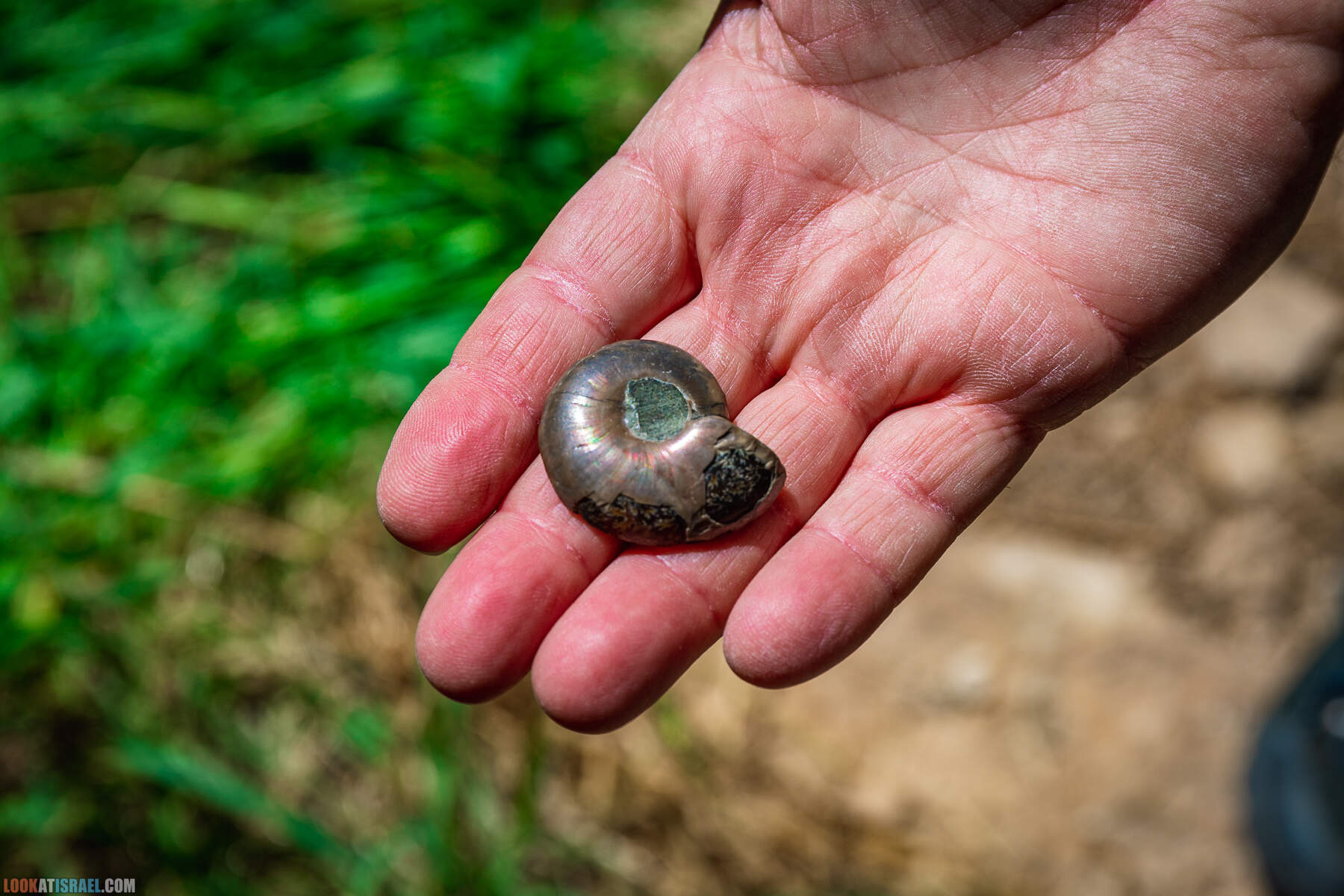 Ущелье гевим Джуфа в Иорданской долине - נחל הגבים ואדי ג׳ופה בבקעת הירדן
