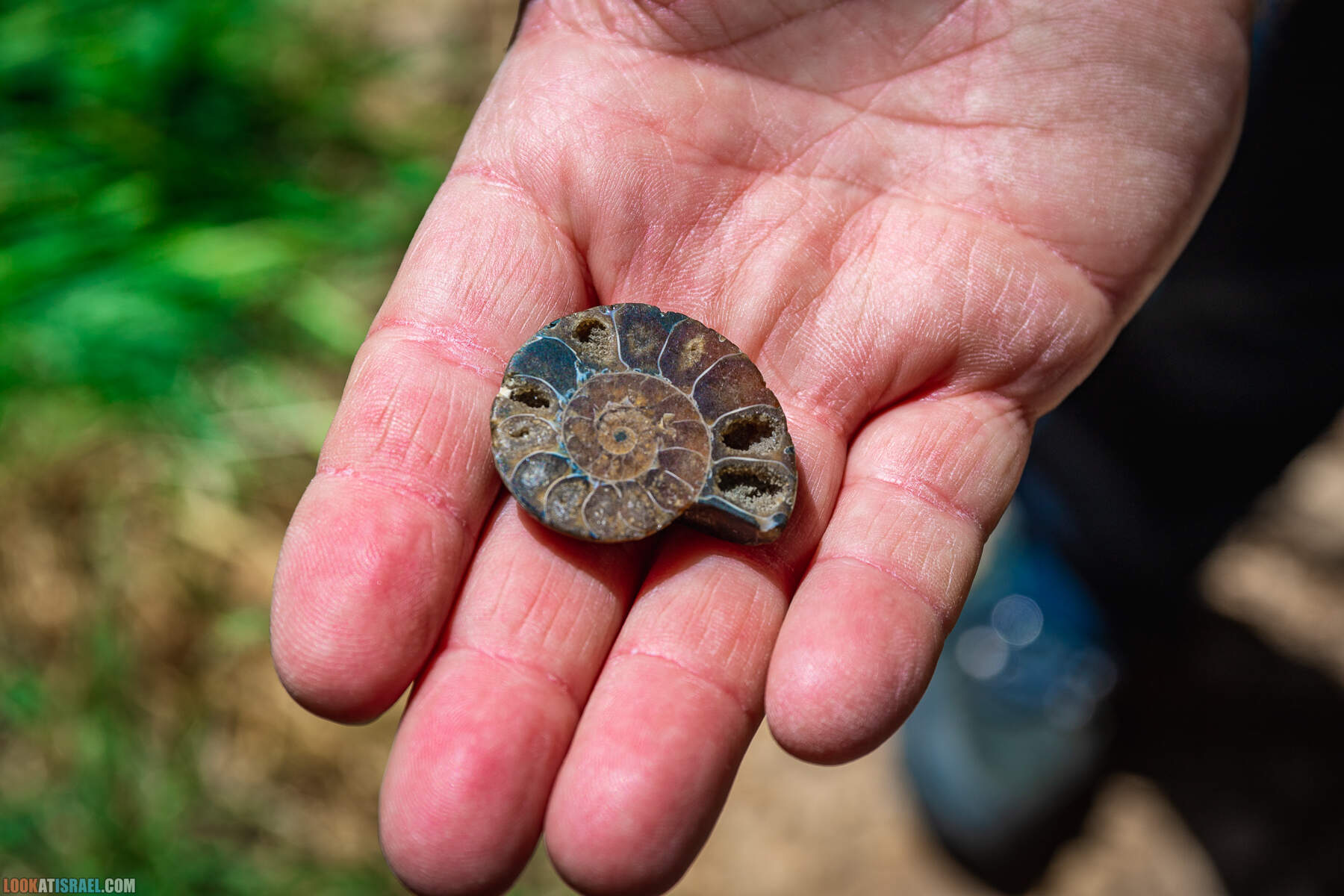 Ущелье гевим Джуфа в Иорданской долине - נחל הגבים ואדי ג׳ופה בבקעת הירדן