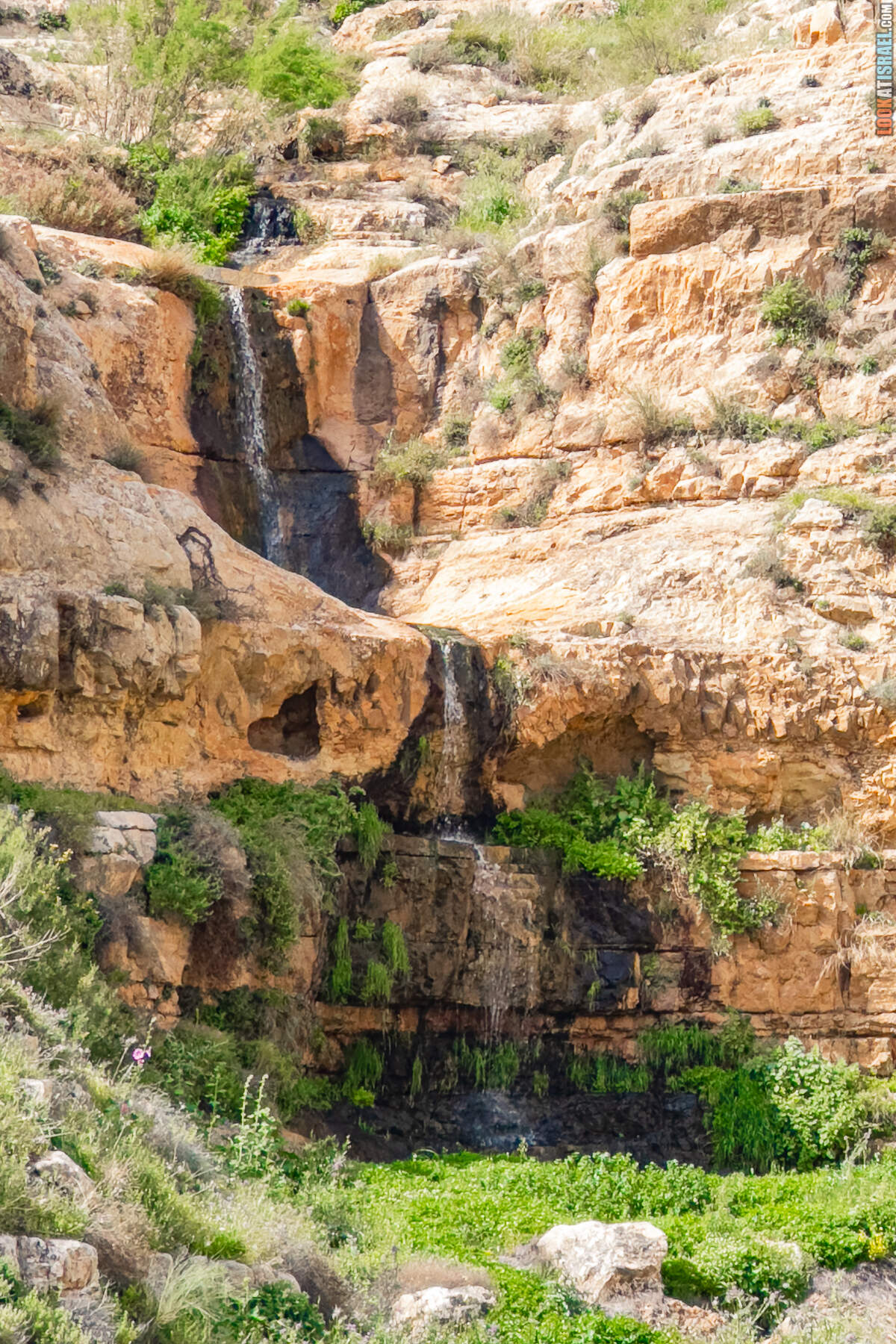 Ущелье и источник Уджа (Итав) - נחל עין עוג׳ה ייטב
