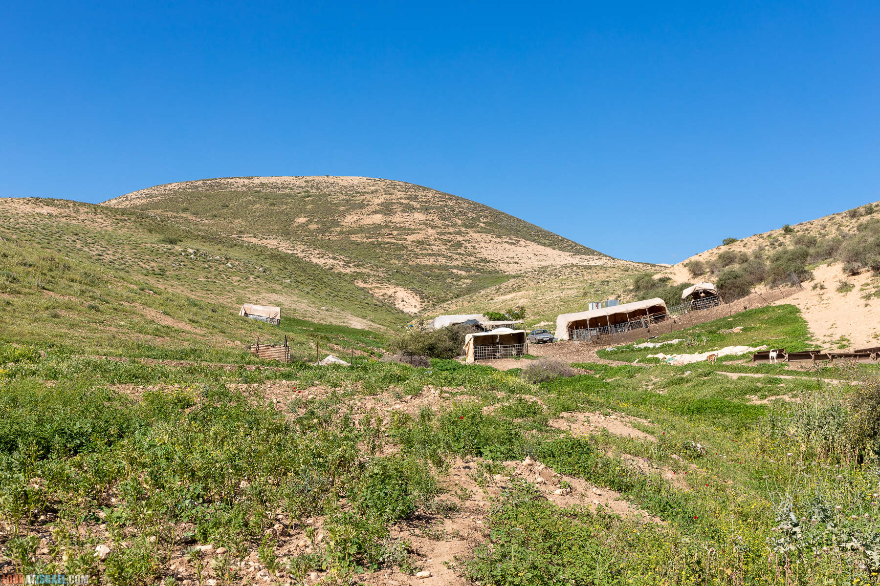 Ущелье Вади а-Шек в Иорданской долине - וואדי א-שק מונטר א-שק