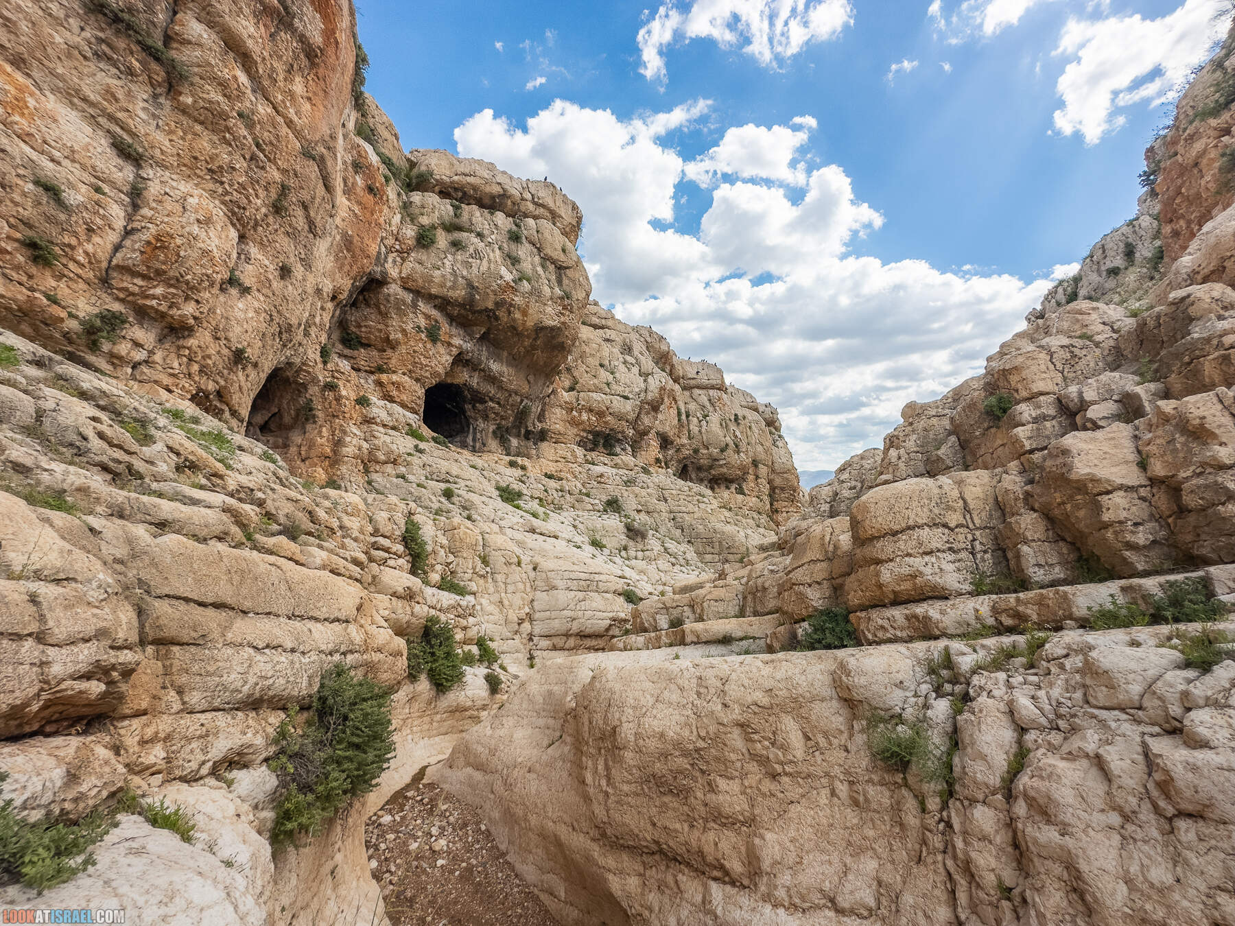 Ущелье Вади а-Шек в Иорданской долине - וואדי א-שק מונטר א-שק
