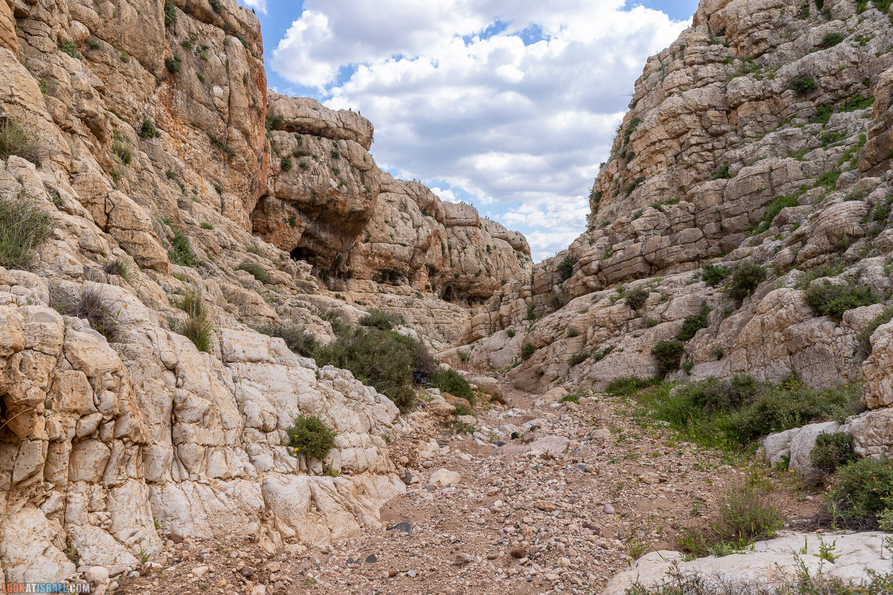 Ущелье Вади а-Шек в Иорданской долине - וואדי א-שק מונטר א-שק