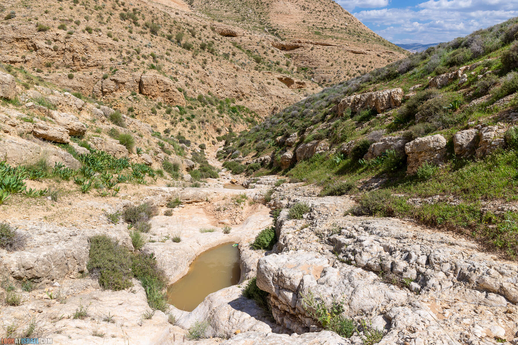 Ущелье Вади а-Шек в Иорданской долине - וואדי א-שק מונטר א-שק