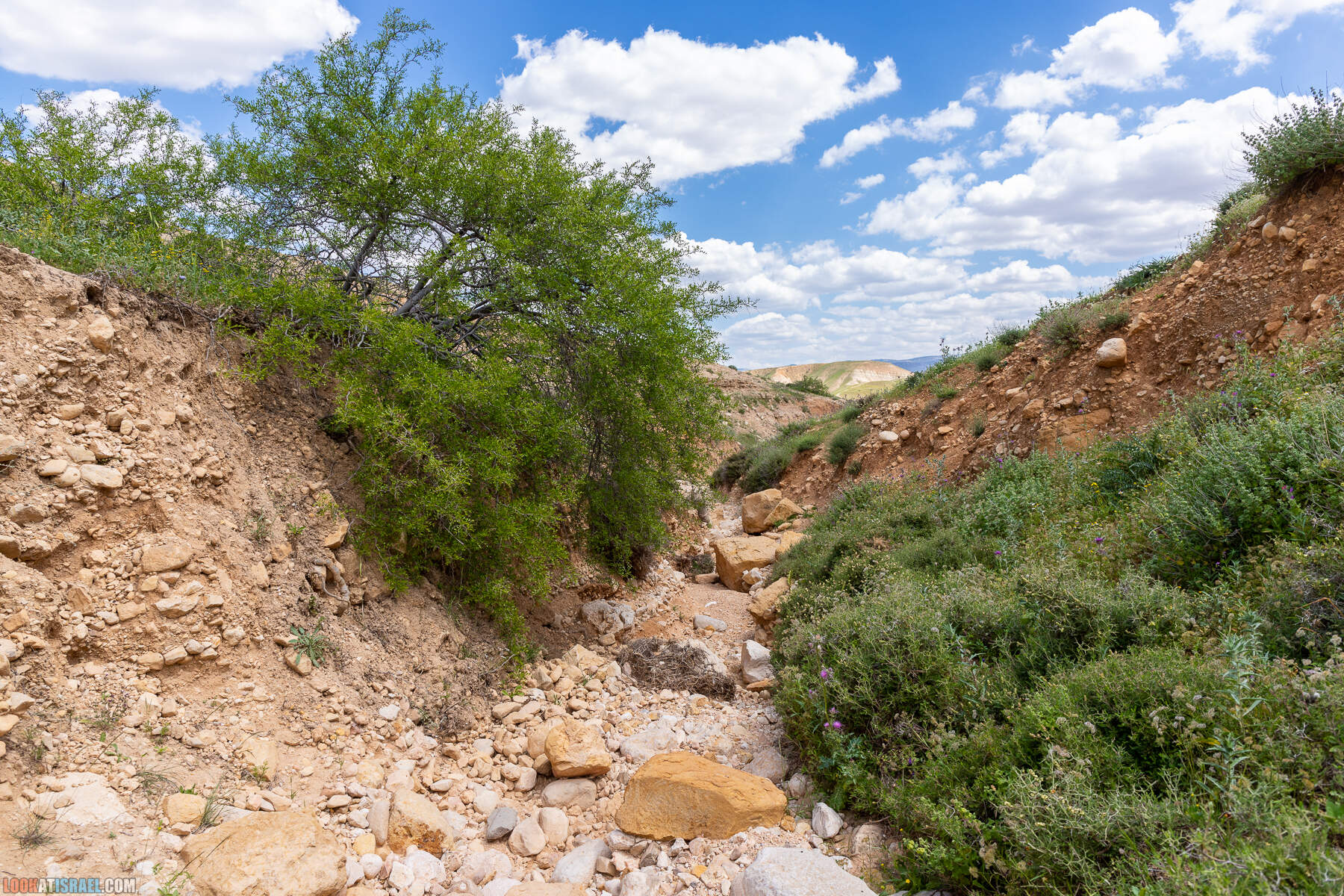 Ущелье Вади а-Шек в Иорданской долине - וואדי א-שק מונטר א-שק