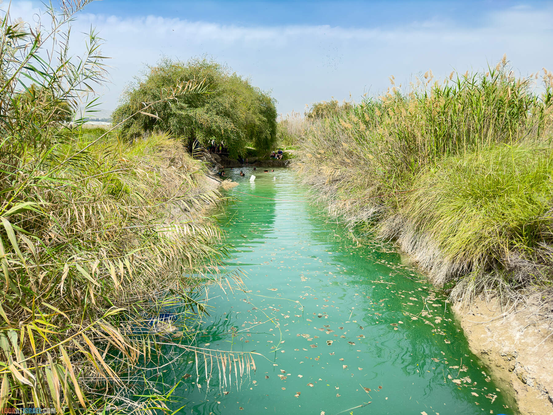 Страна родников - источники Иорданской долины - ארץ המעיינות בבקעת הירדן - Эйн Ярмух - עין ירמוך
