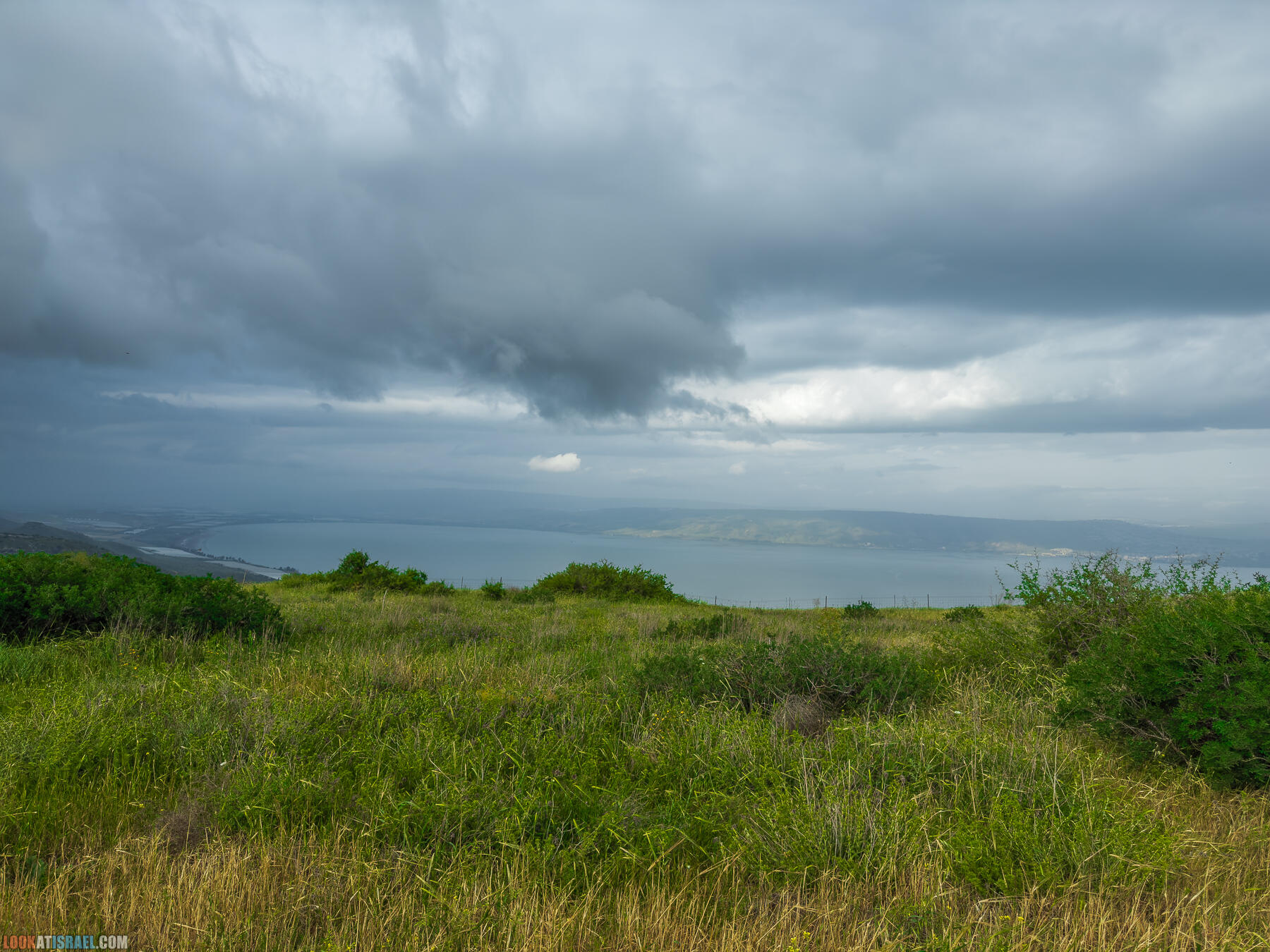 Путешествие по Голанским высотам - обзорные площадки и родники