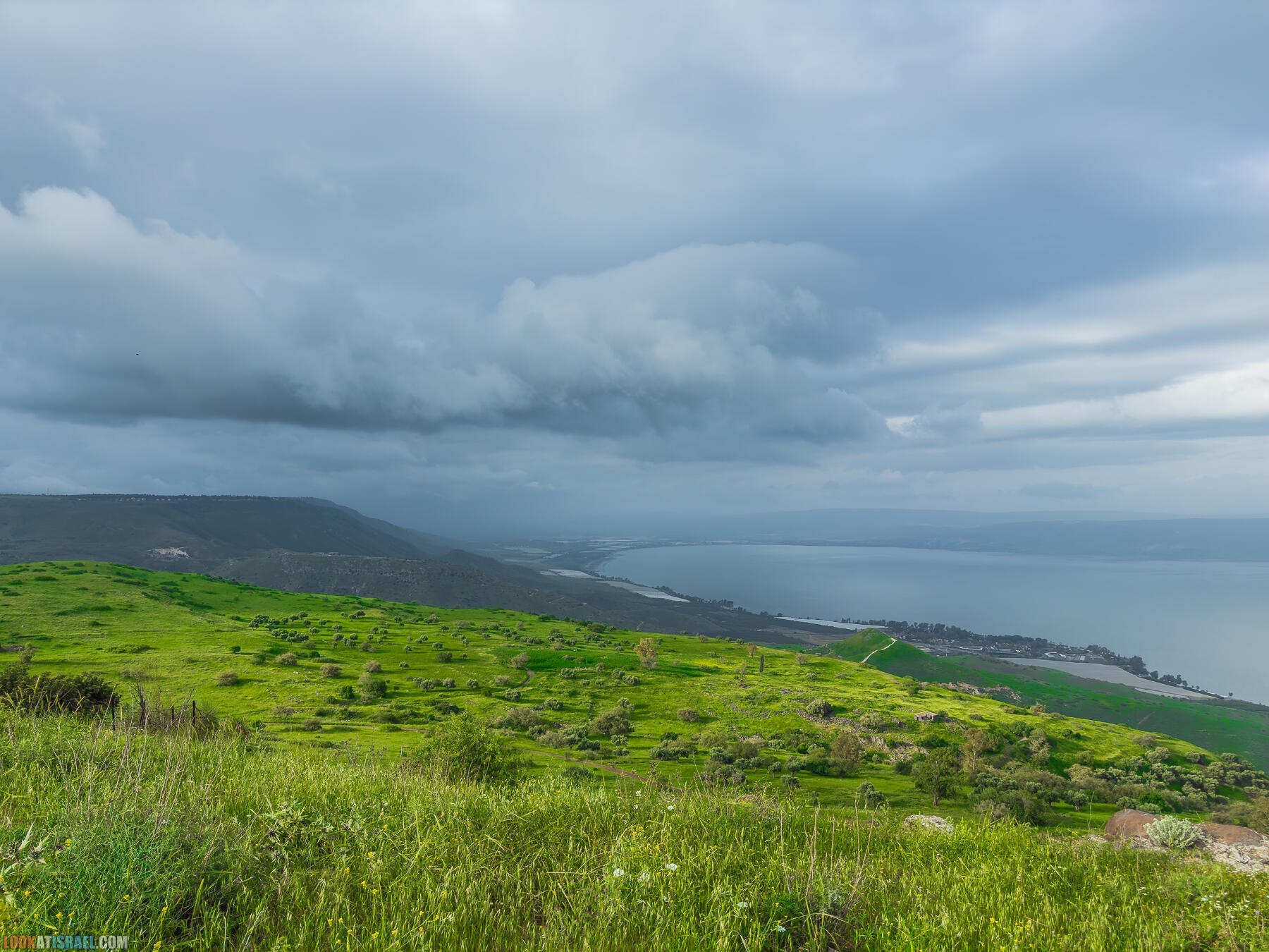 Путешествие по Голанским высотам - обзорные площадки и родники