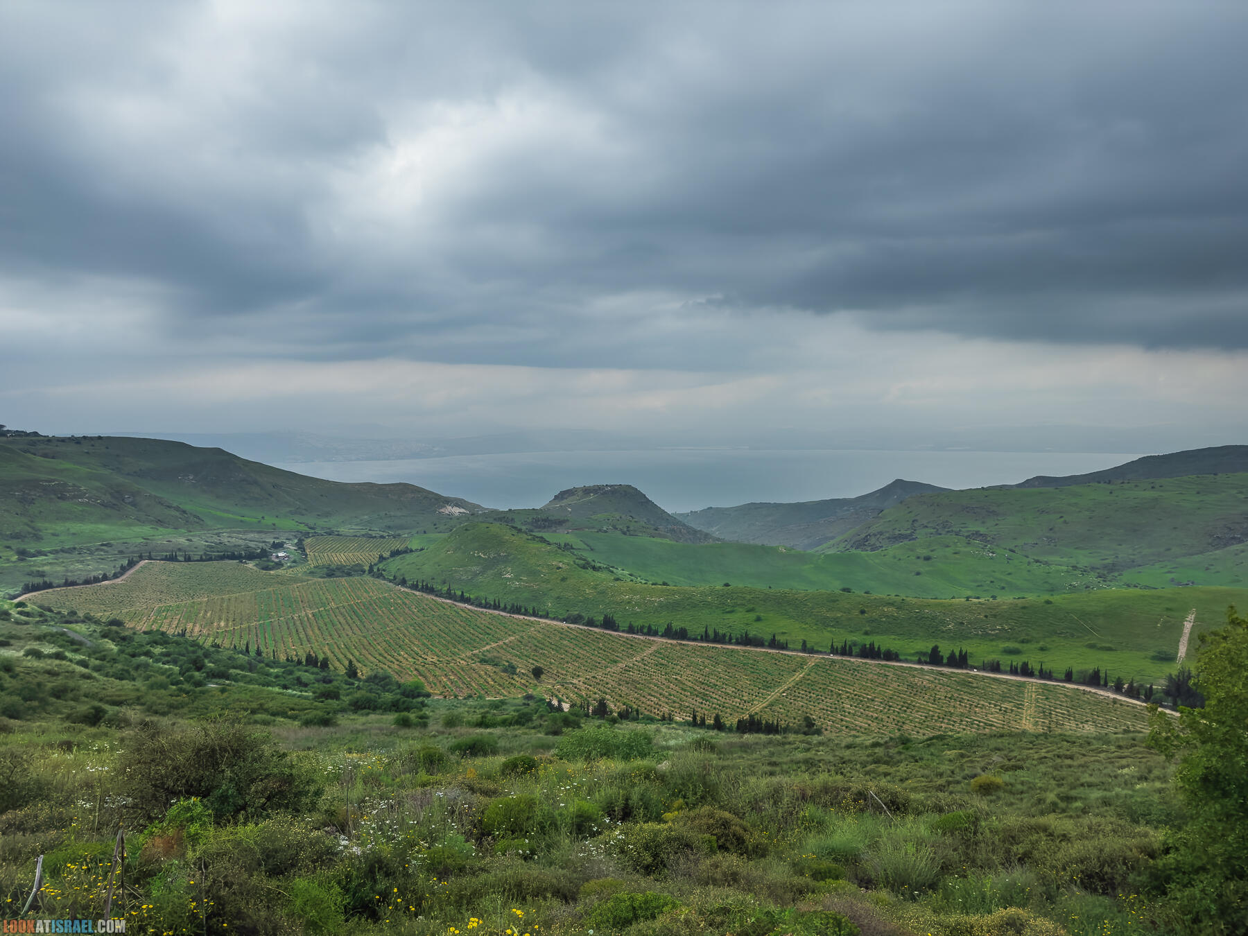 Путешествие по Голанским высотам - обзорные площадки и родники