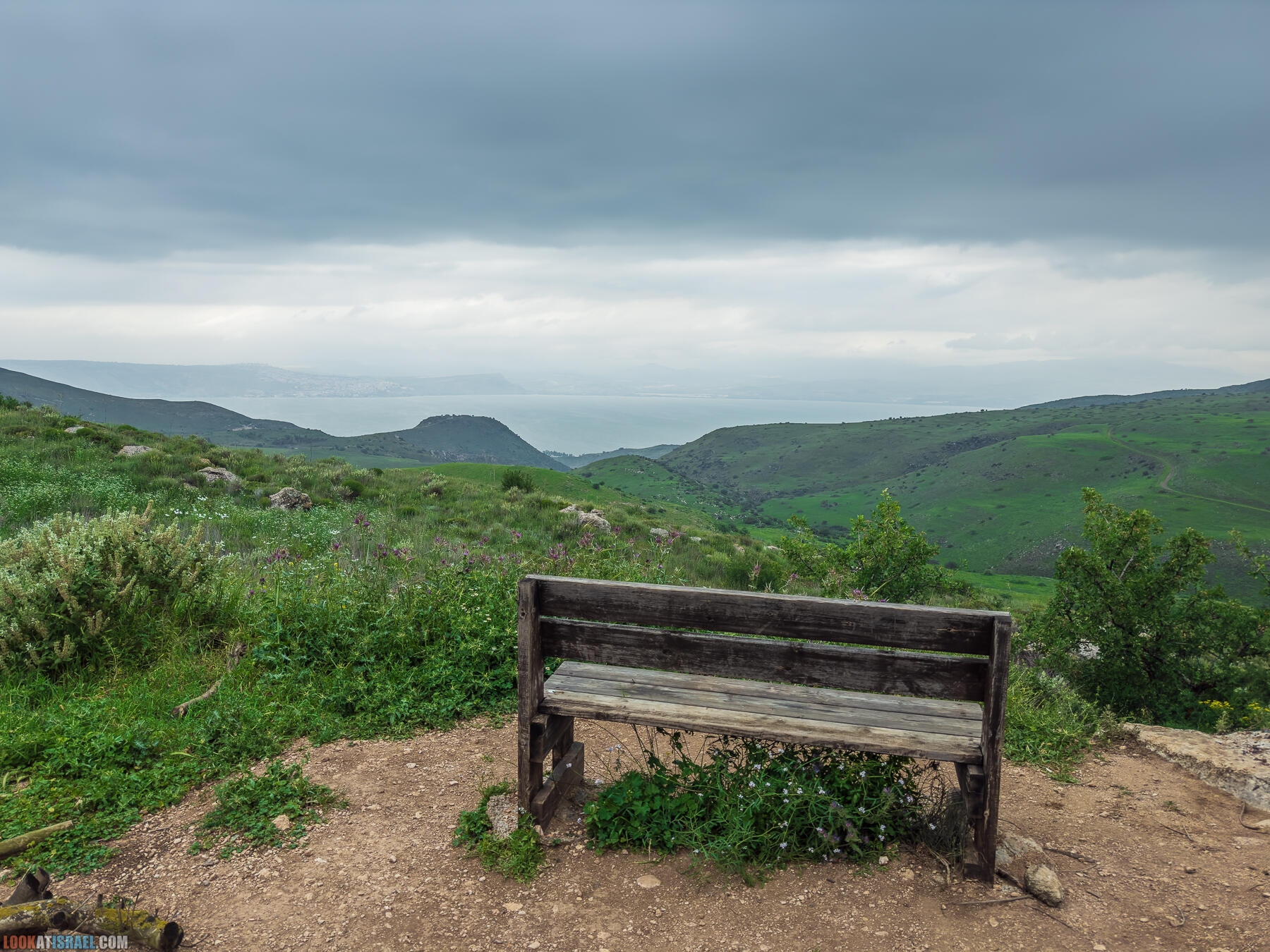 Путешествие по Голанским высотам - обзорные площадки и родники