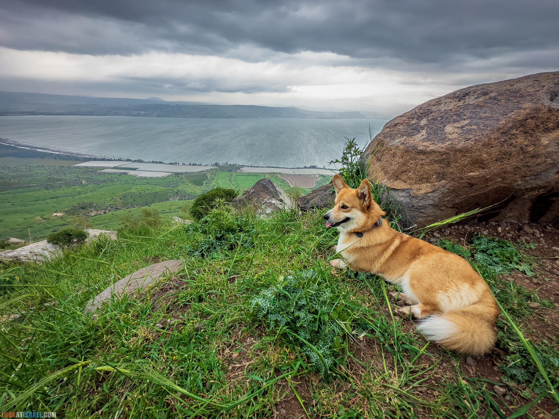 Путешествие по Голанским высотам - обзорные площадки и родники