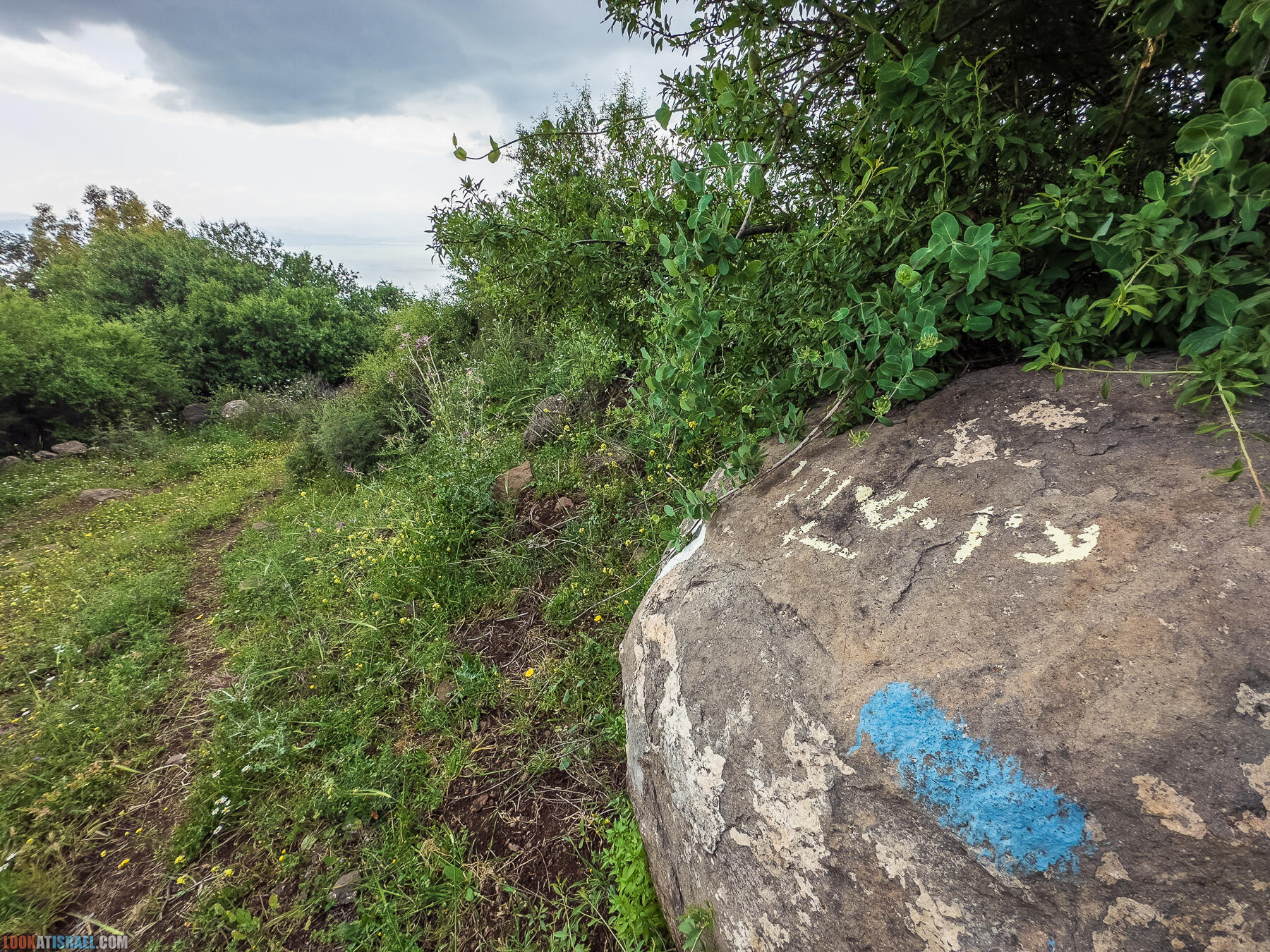 Путешествие по Голанским высотам - обзорные площадки и родники