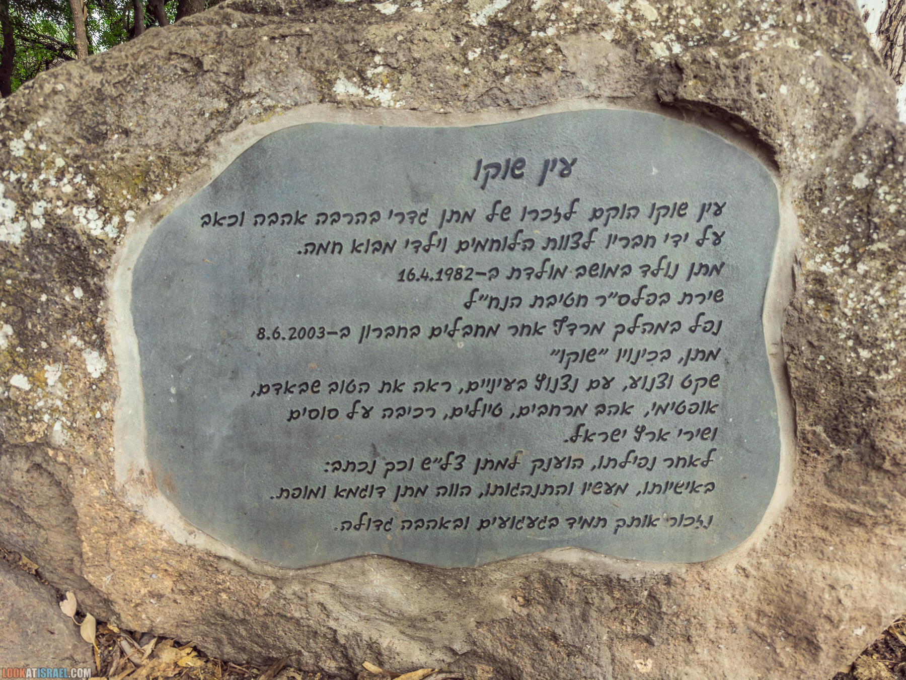 Путешествие по Голанским высотам - обзорные площадки и родники