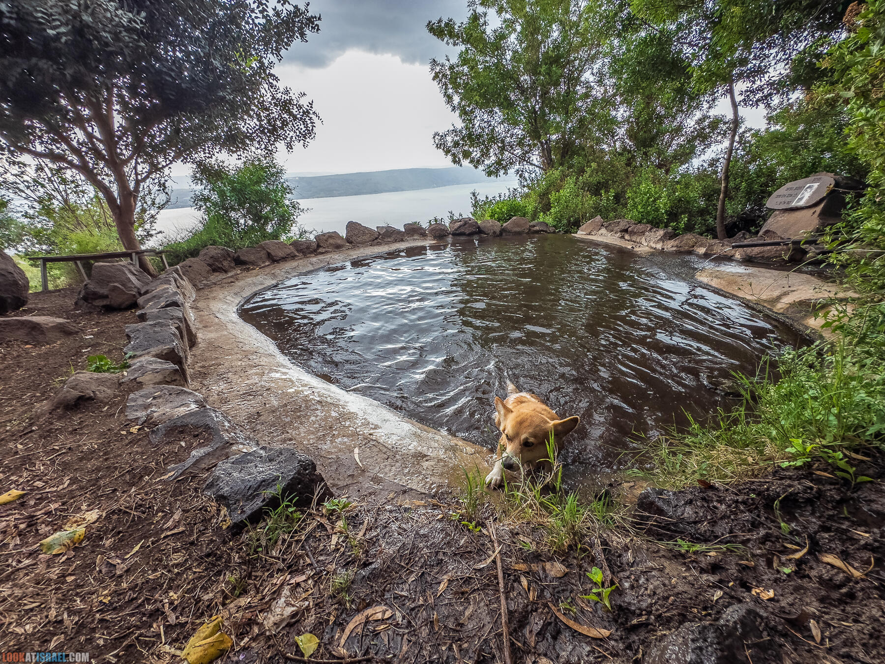 Путешествие по Голанским высотам - обзорные площадки и родники
