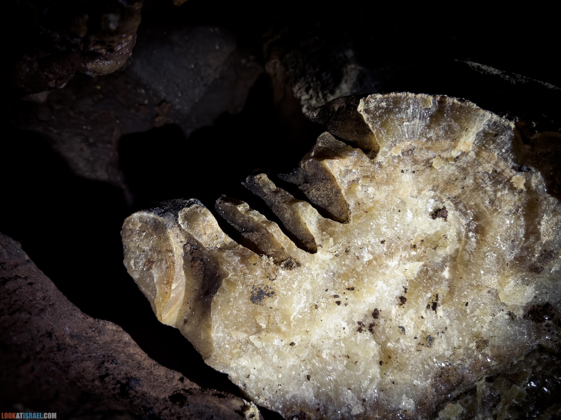 Сталактитовая пещера Эль Джанав и поселение Эвьятар - El Janab stalactite cave - מערת אל ג'נב מערת נטיפים
