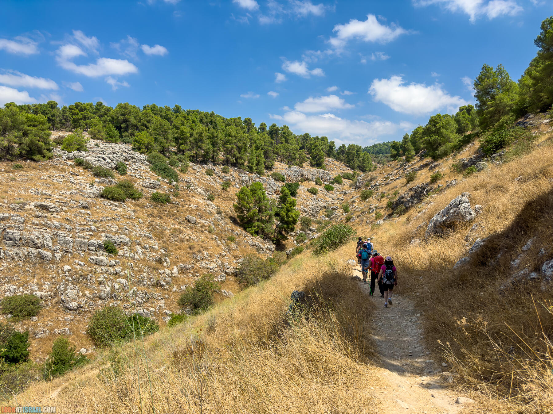 Ручей  Нахаль Амуд и Нахаль Сехви