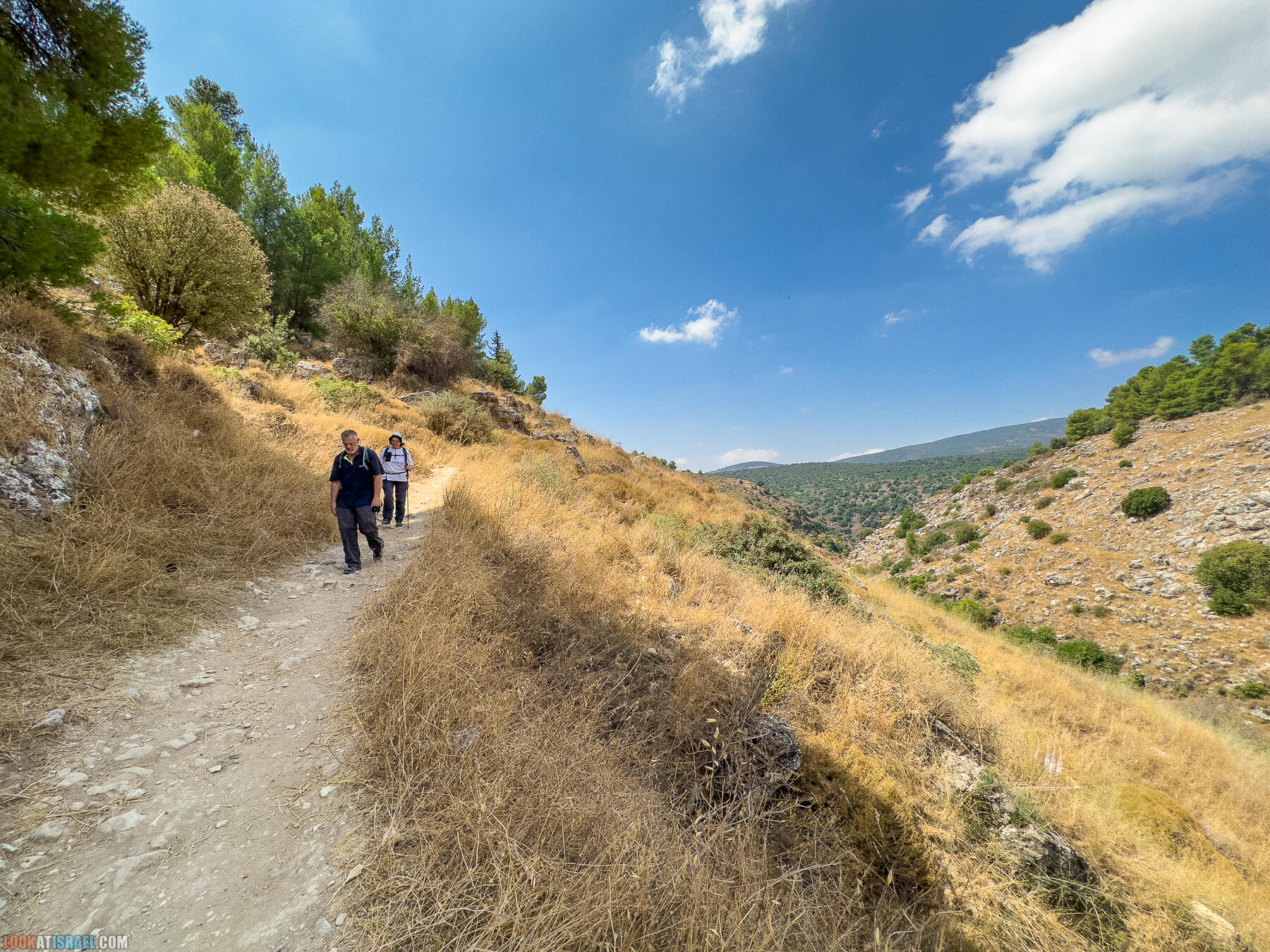 Ручей  Нахаль Амуд и Нахаль Сехви