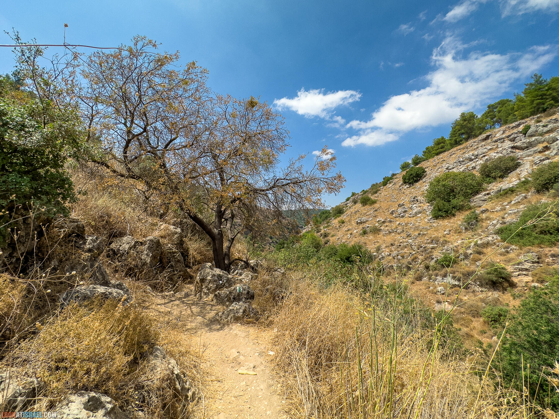 Ручей  Нахаль Амуд и Нахаль Сехви