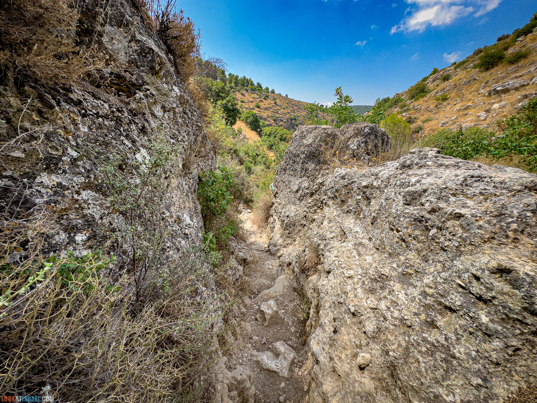 Ручей  Нахаль Амуд и Нахаль Сехви