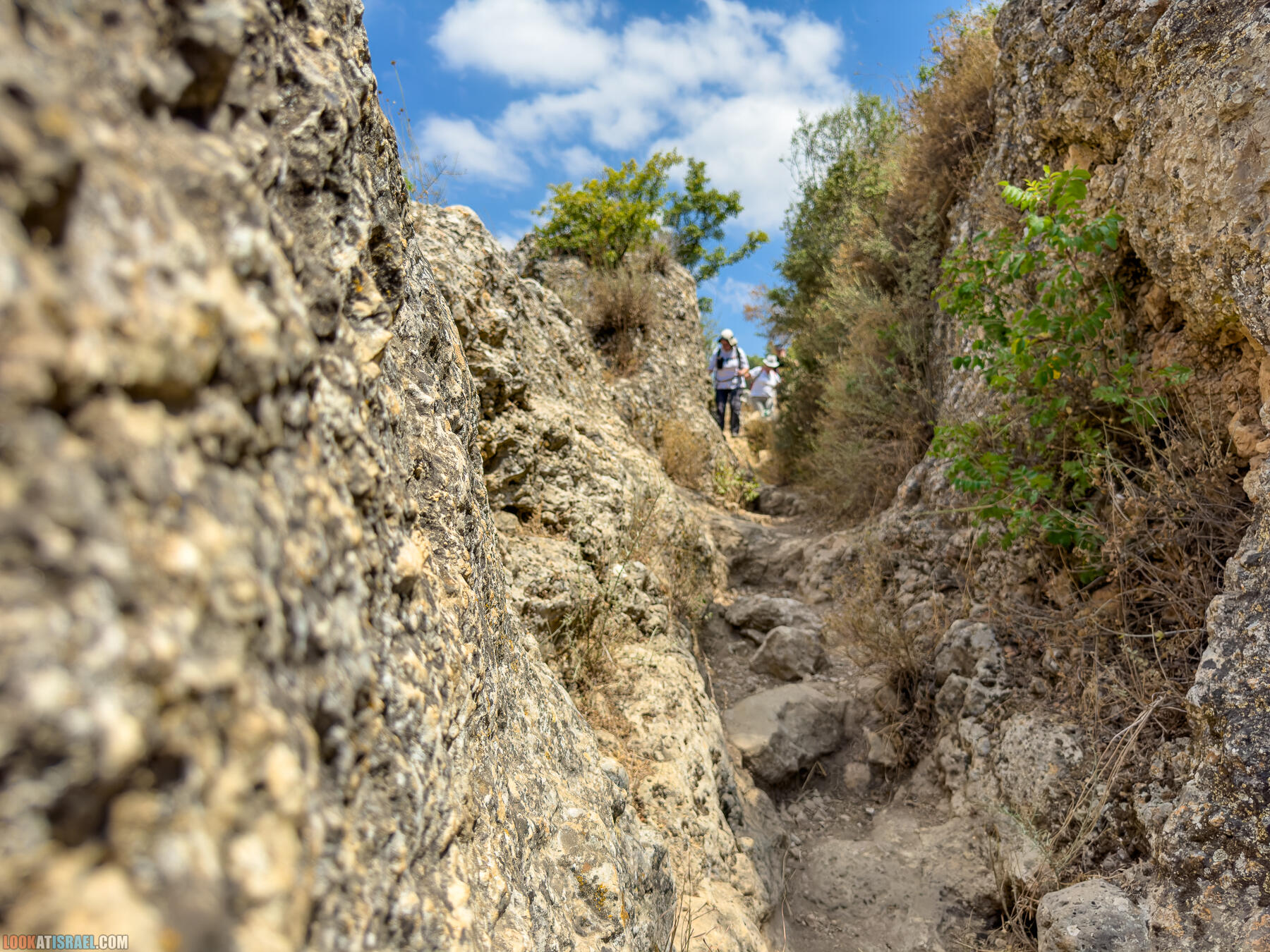 Ручей  Нахаль Амуд и Нахаль Сехви